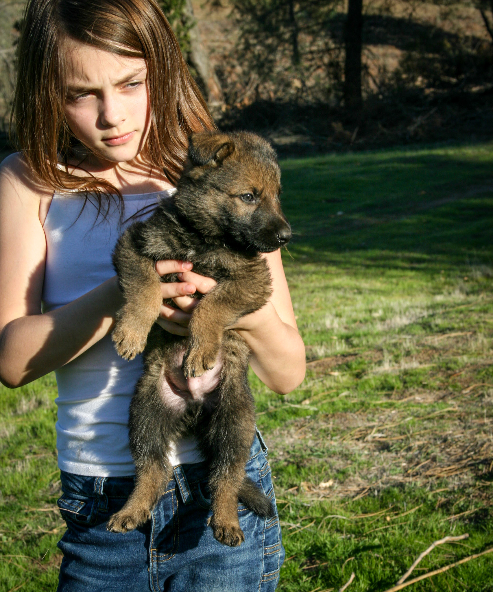 Hunter Green Male 5 Weeks Old