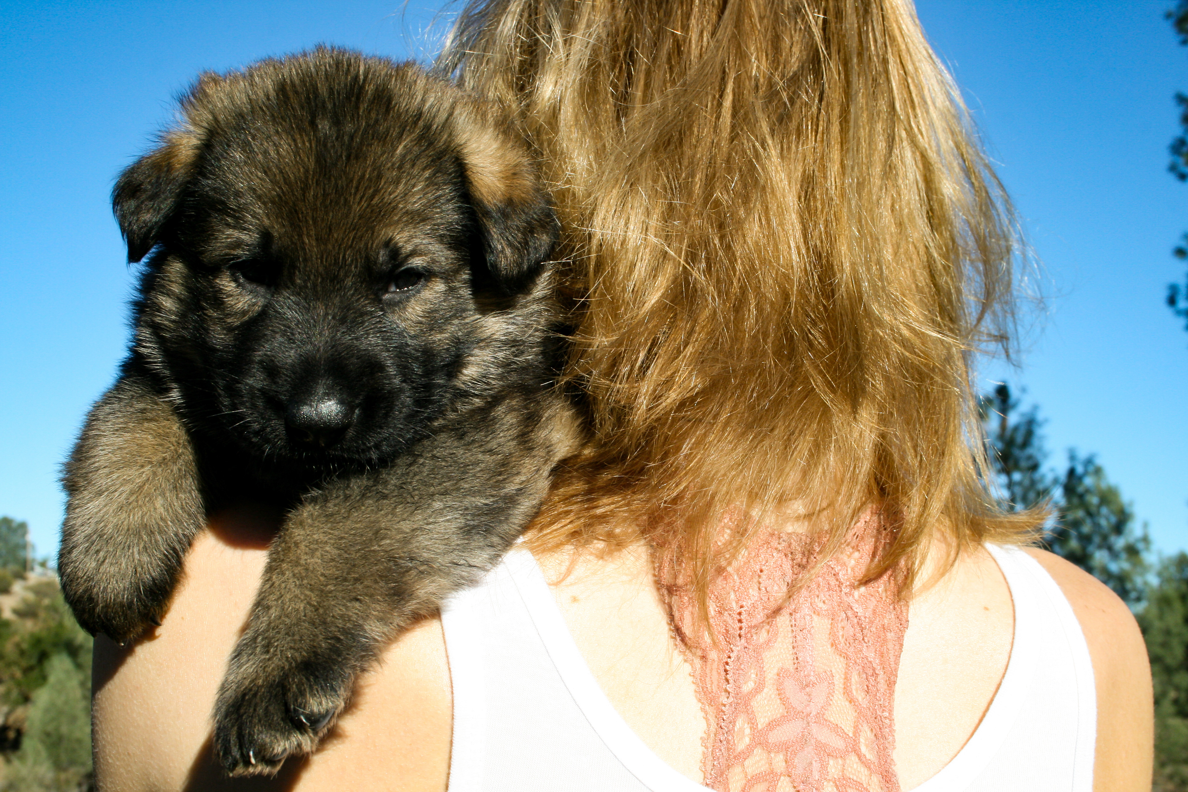 "Biggie Smalls" - 4 weeks
