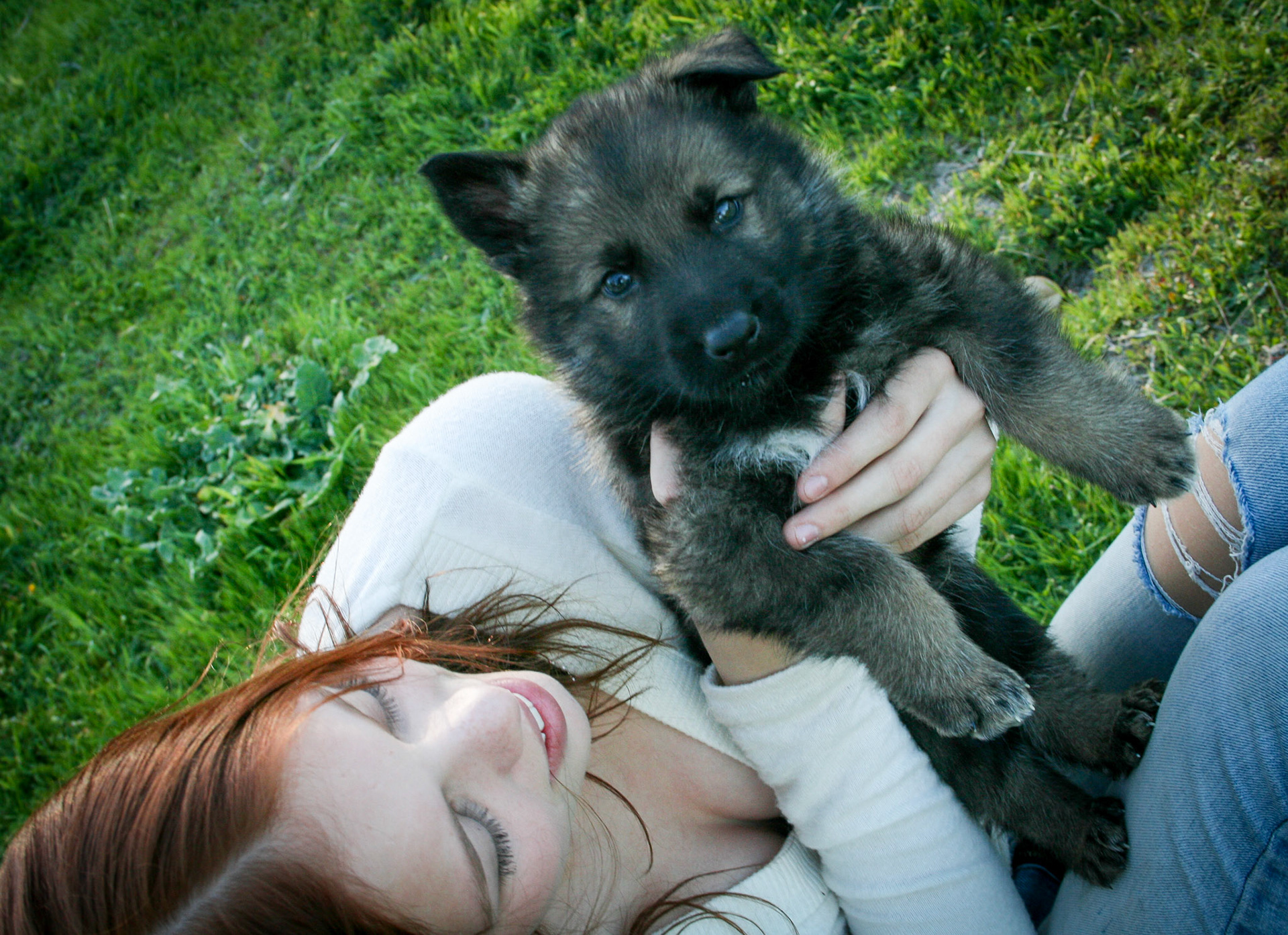 Black Collar Male 5 Weeks Old