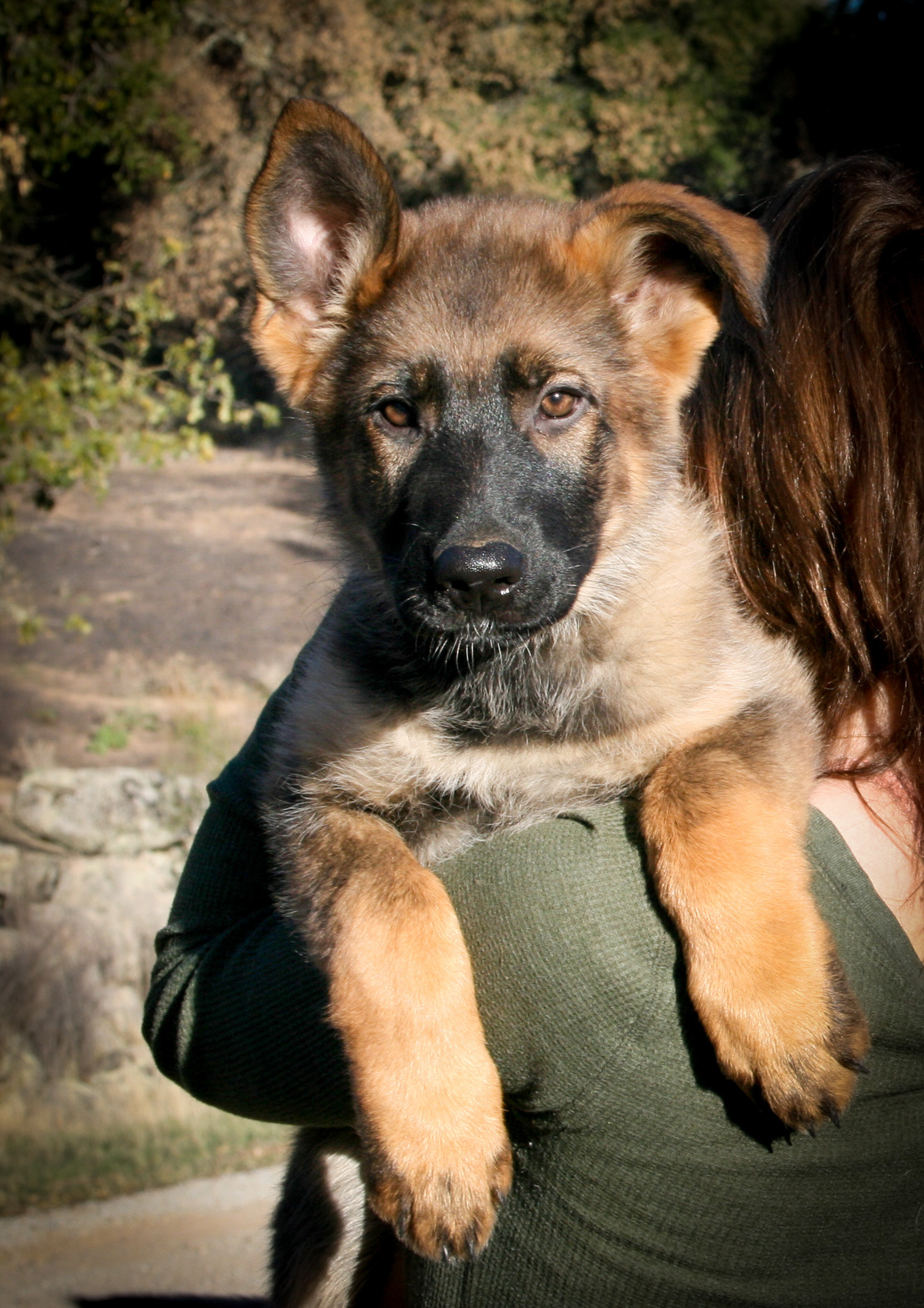"Journey" - 12 weeks