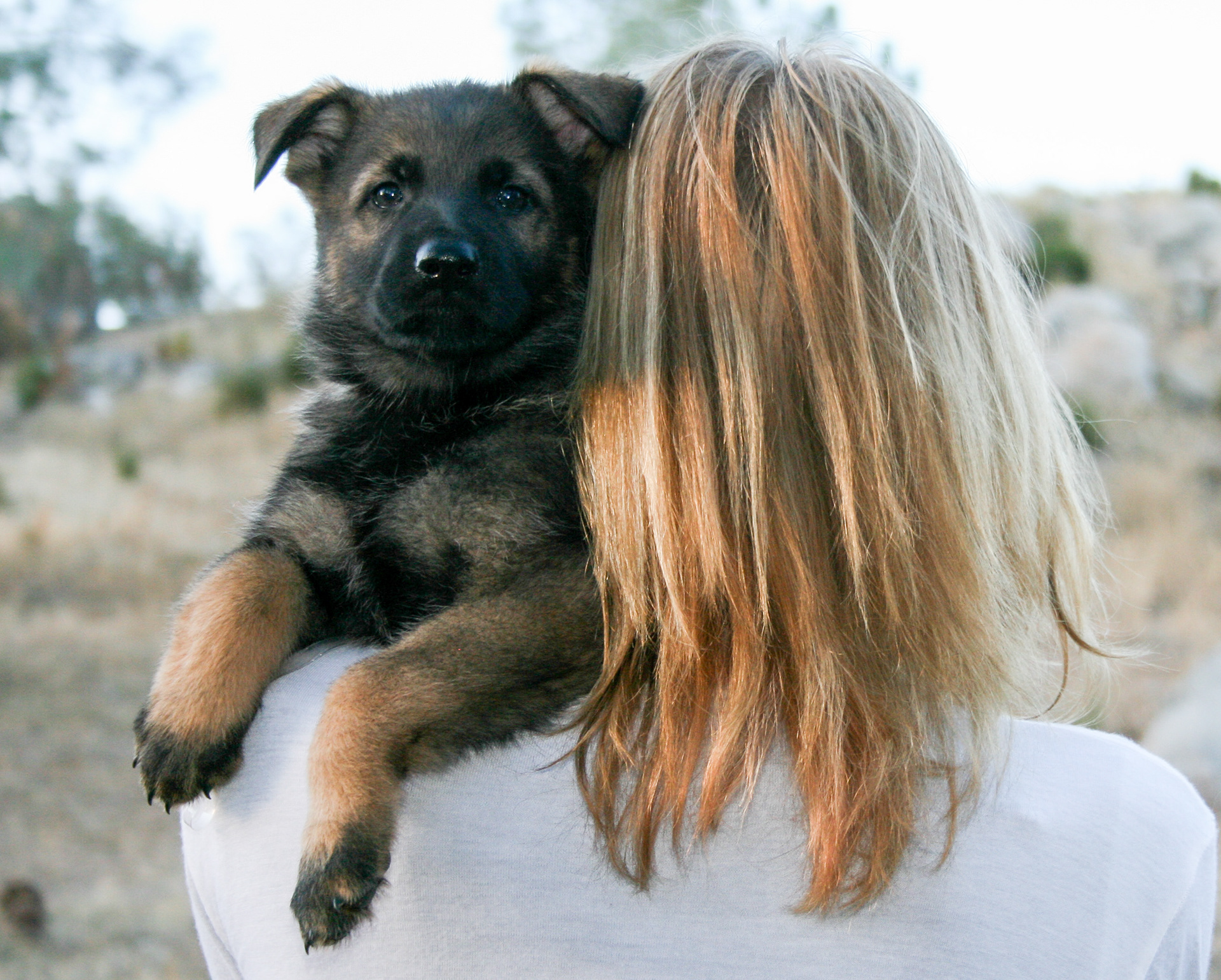 Tilly - 7 weeks