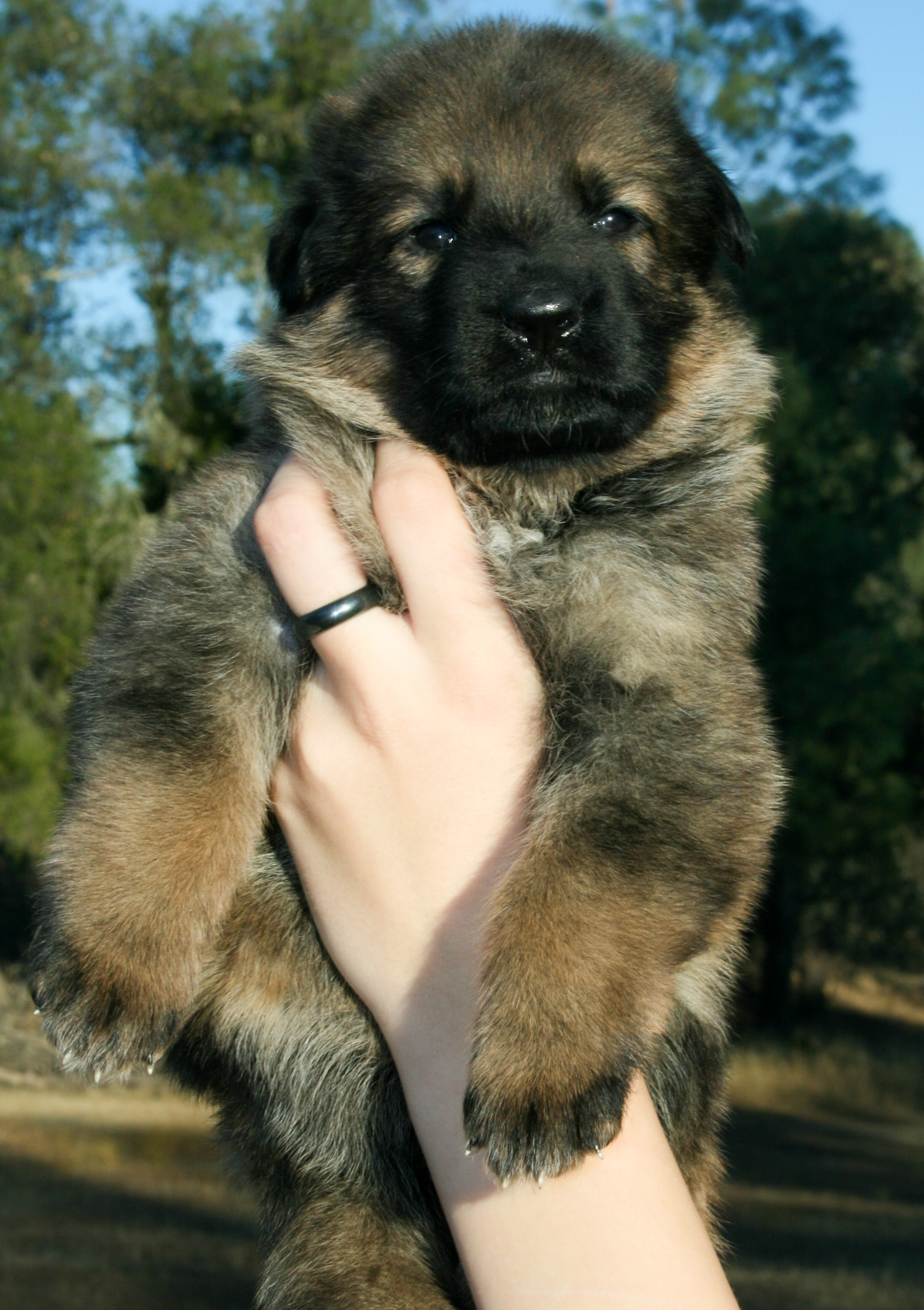 "Journey" - 4 weeks