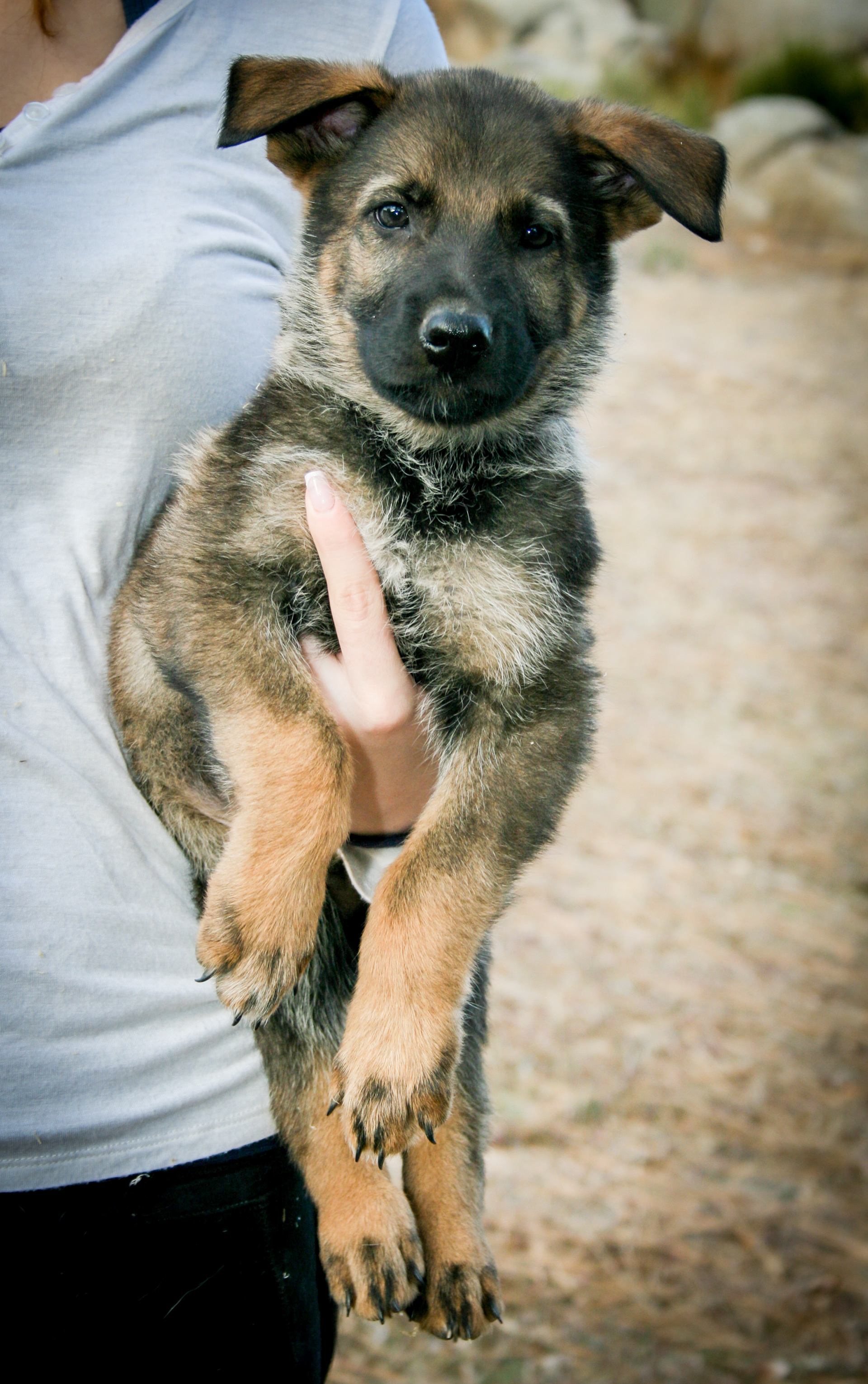 Baby - 7 weeks