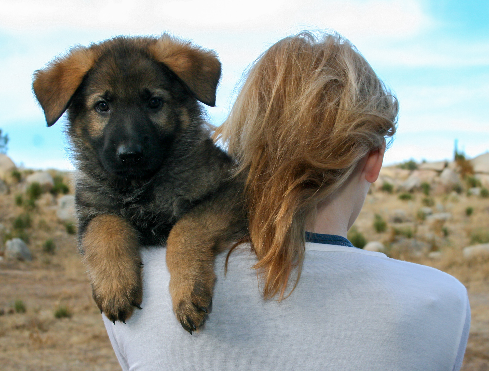 Biggie Smalls - 7 weeks