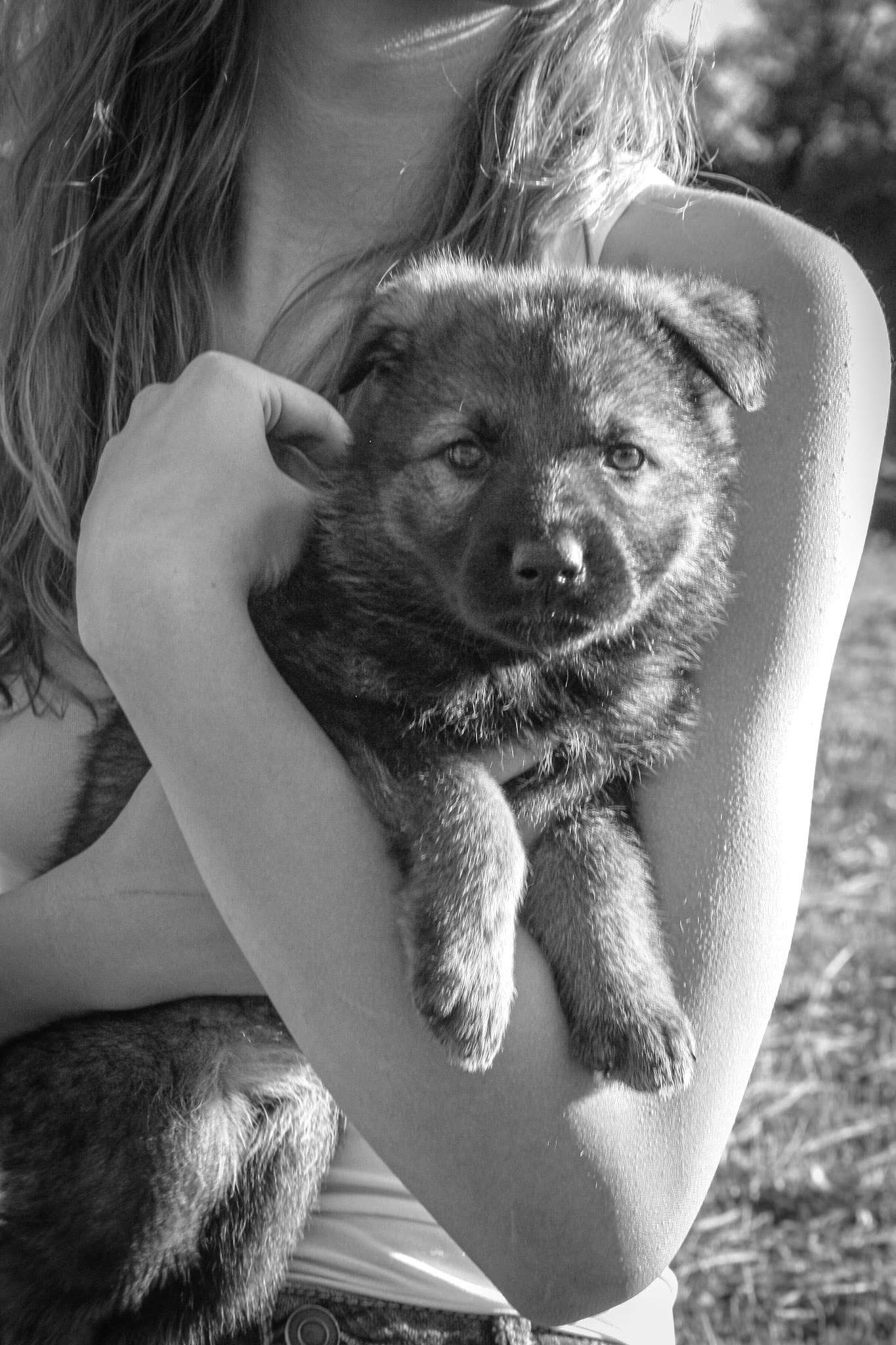 Pink Collar Female 5 Weeks Old