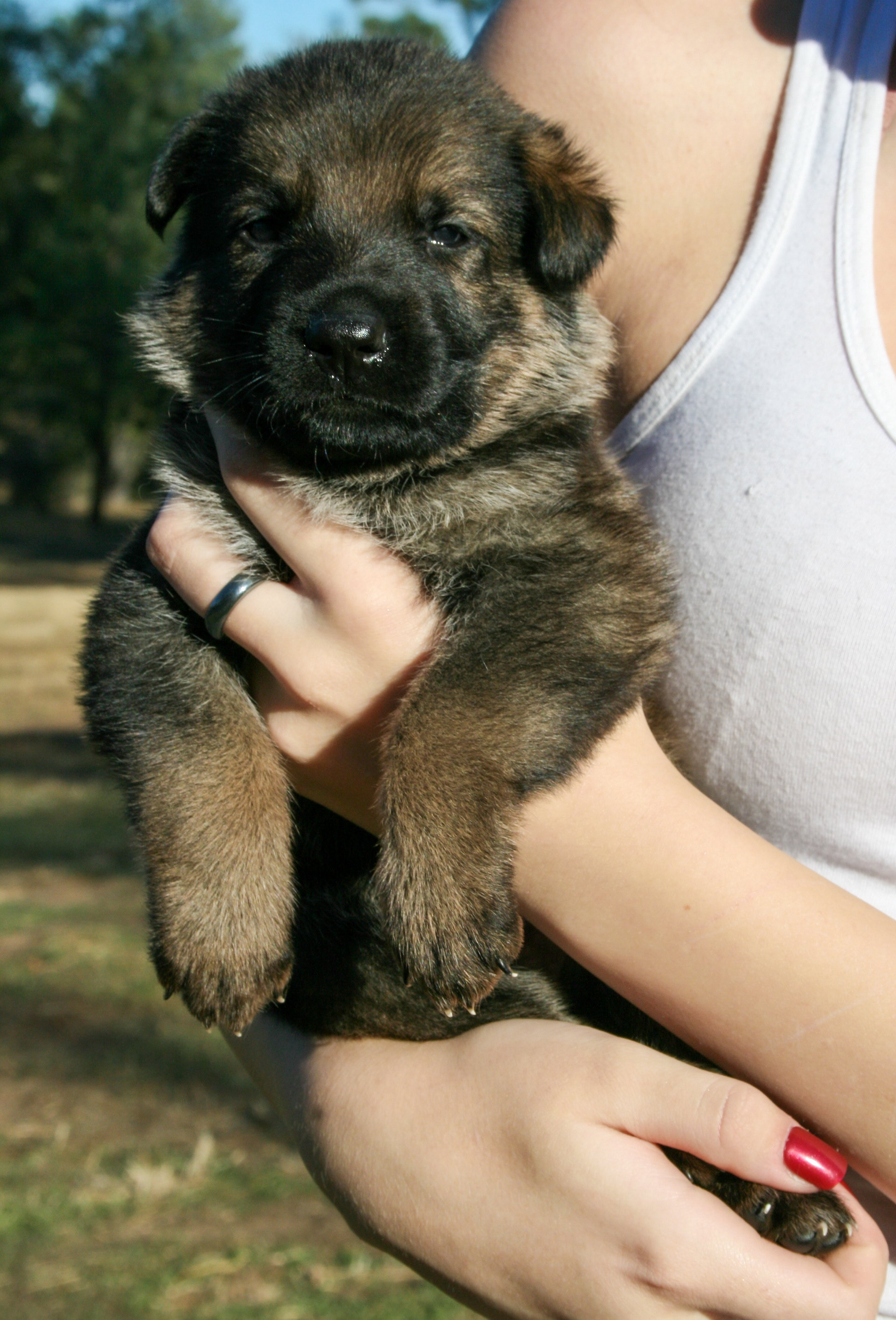 "Baby" - 4 weeks