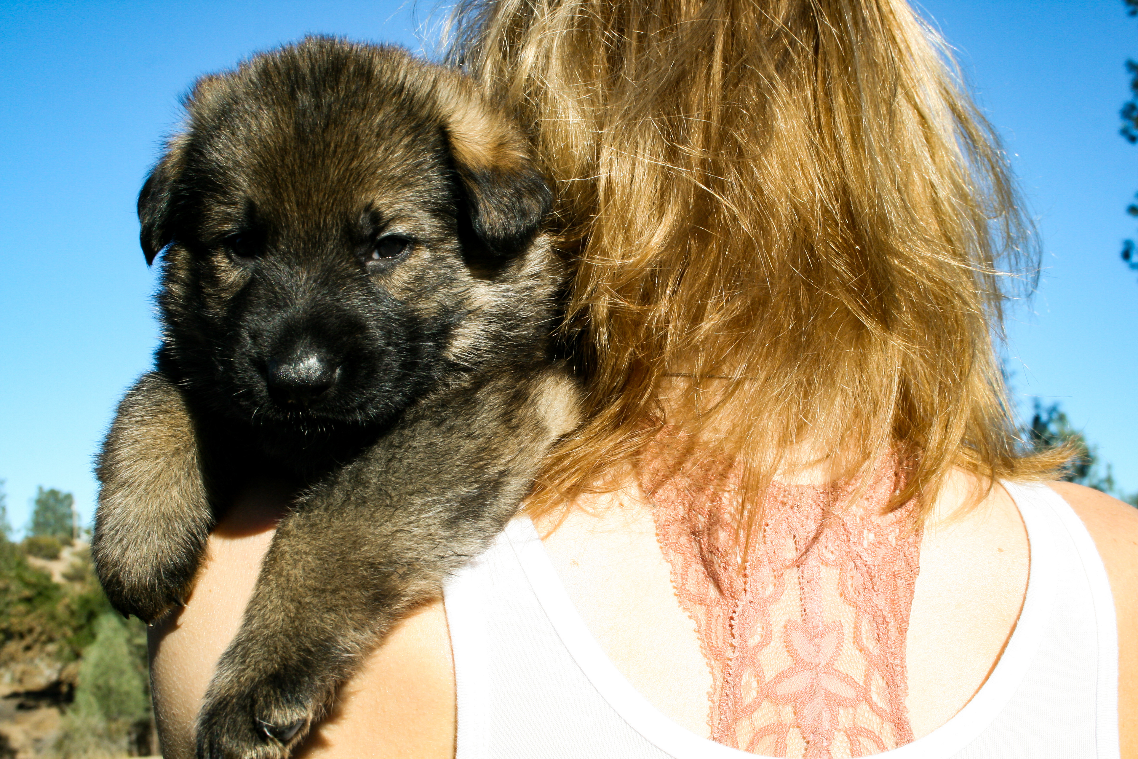 "Biggie Smalls" - 4 weeks