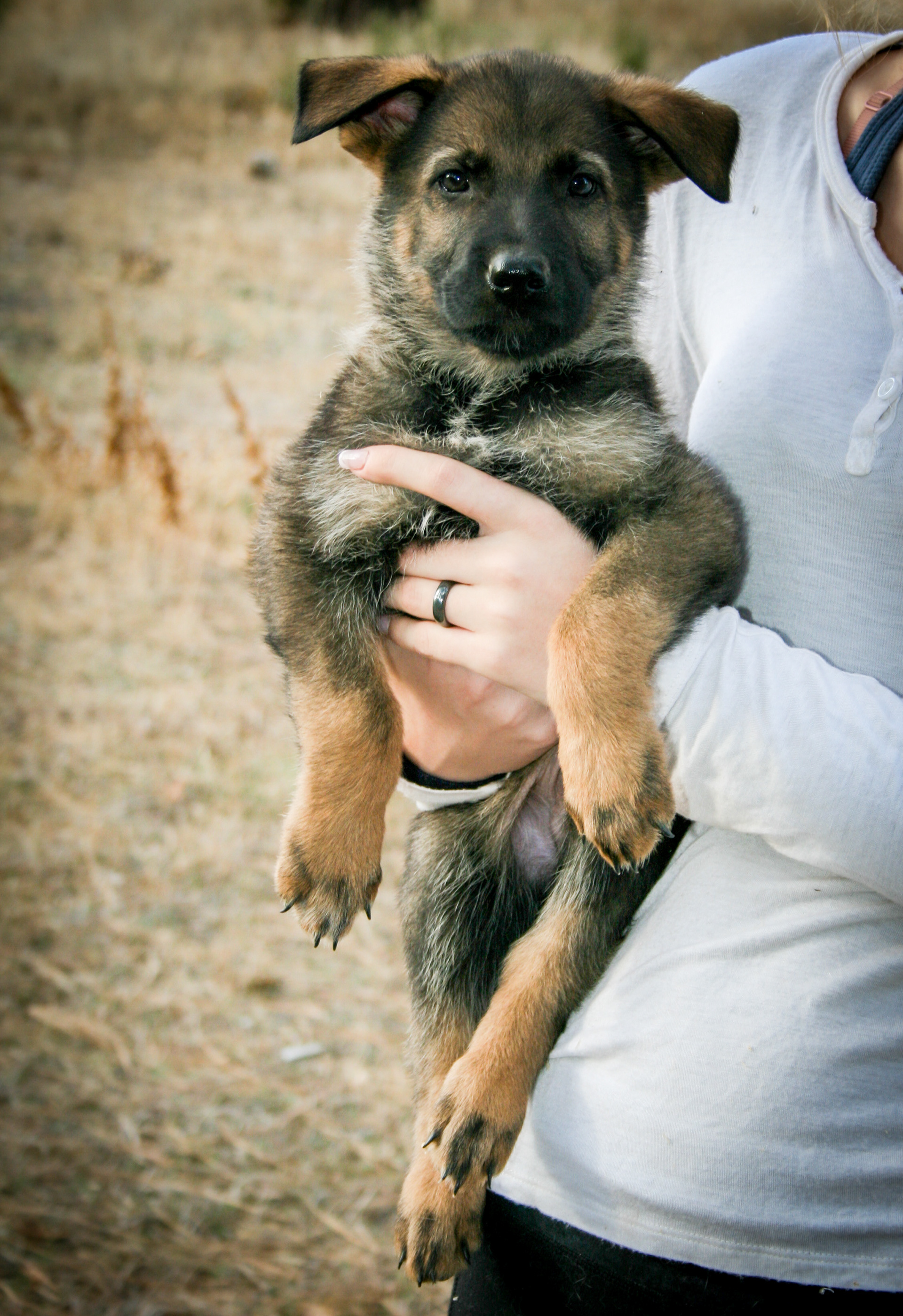 Baby - 7 weeks