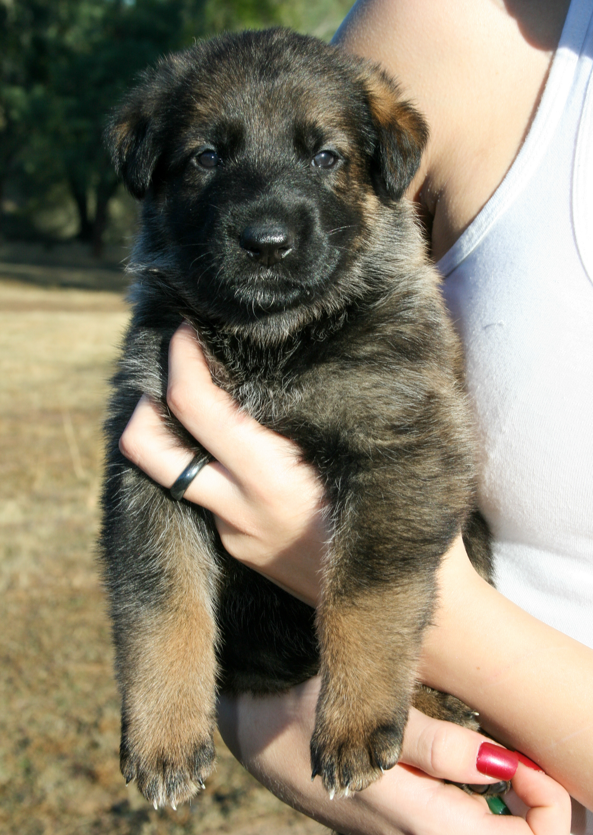 "Winnie" - 4 weeks