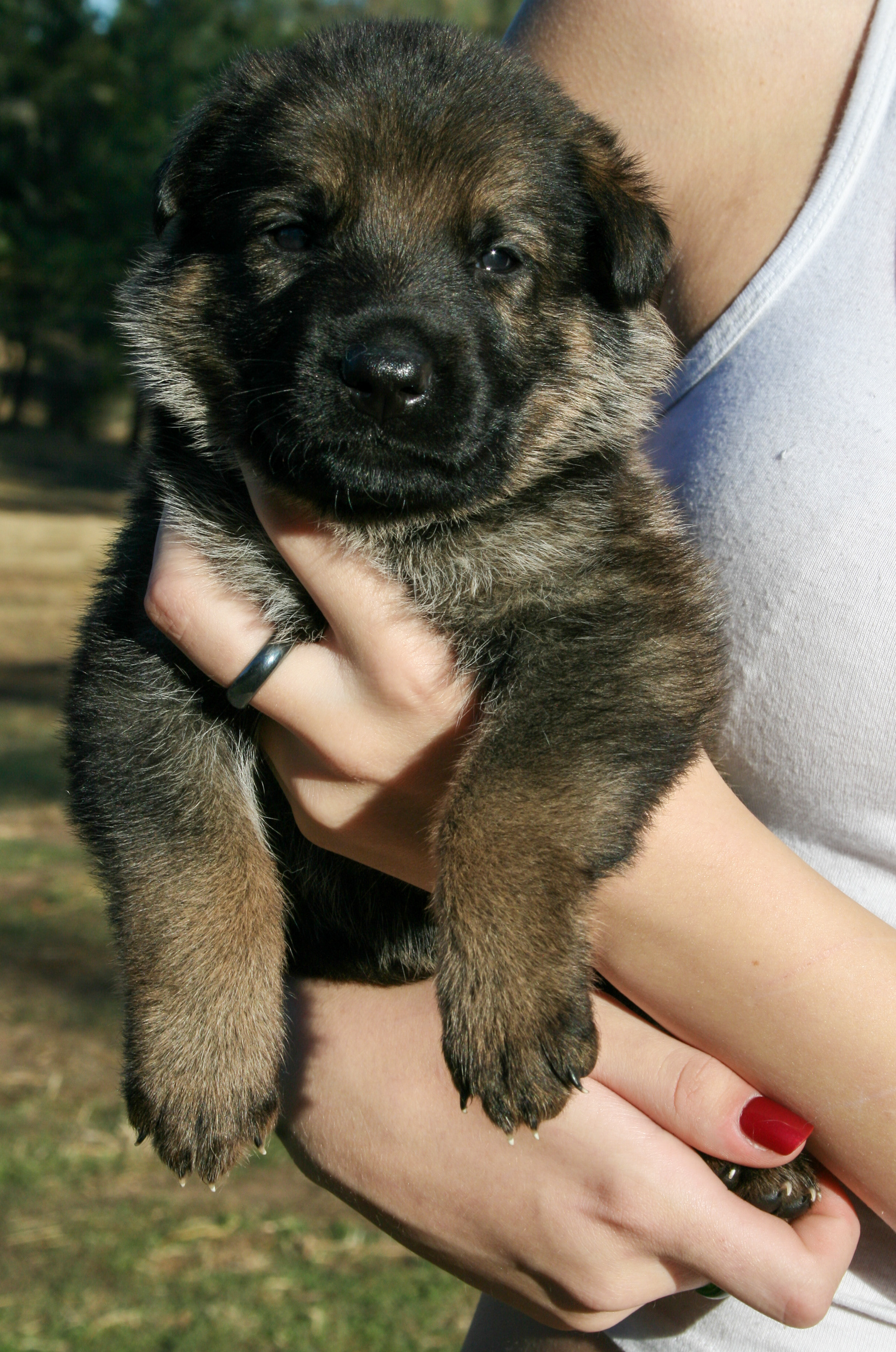 "Baby" - 4 weeks