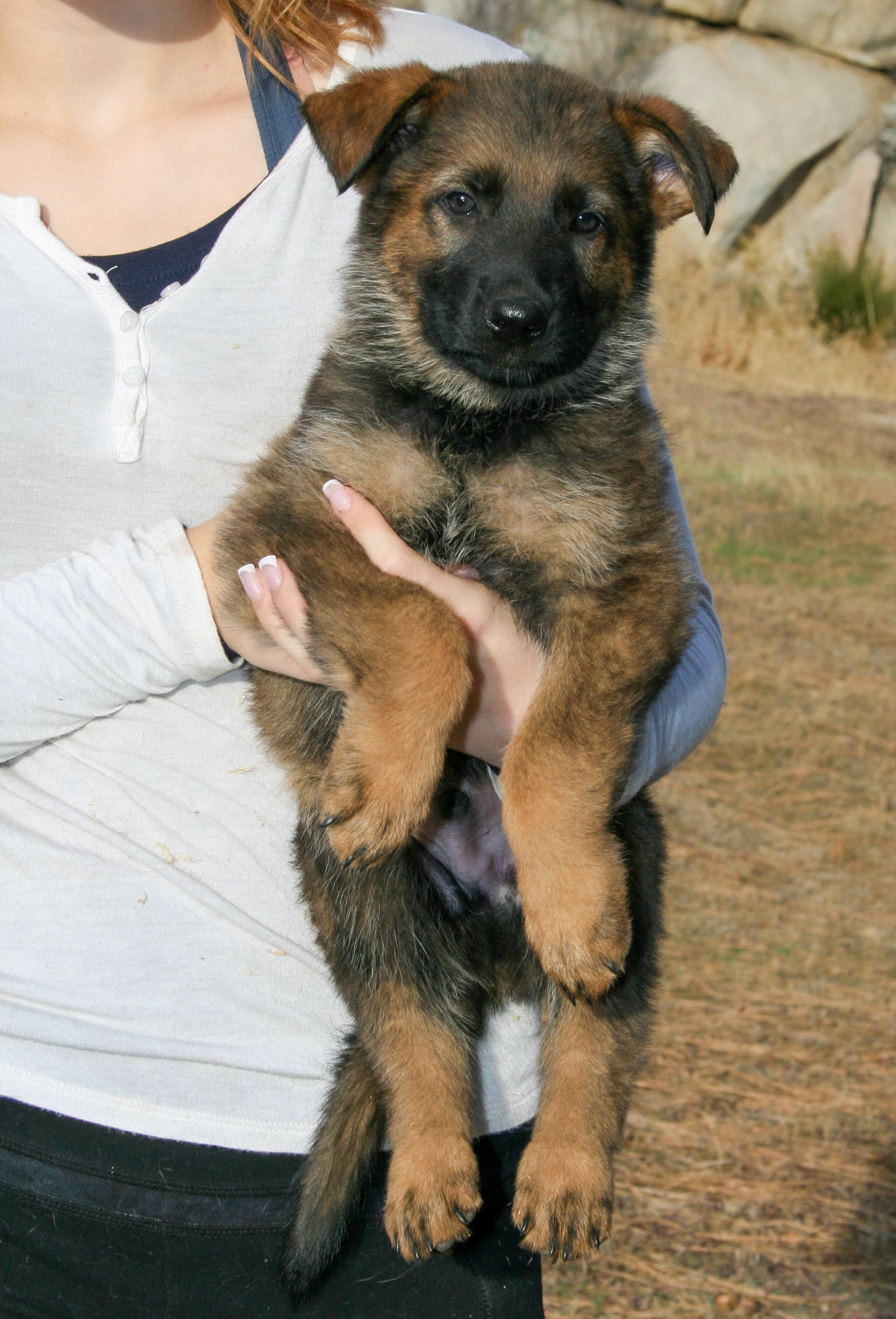 Jack - 7 weeks