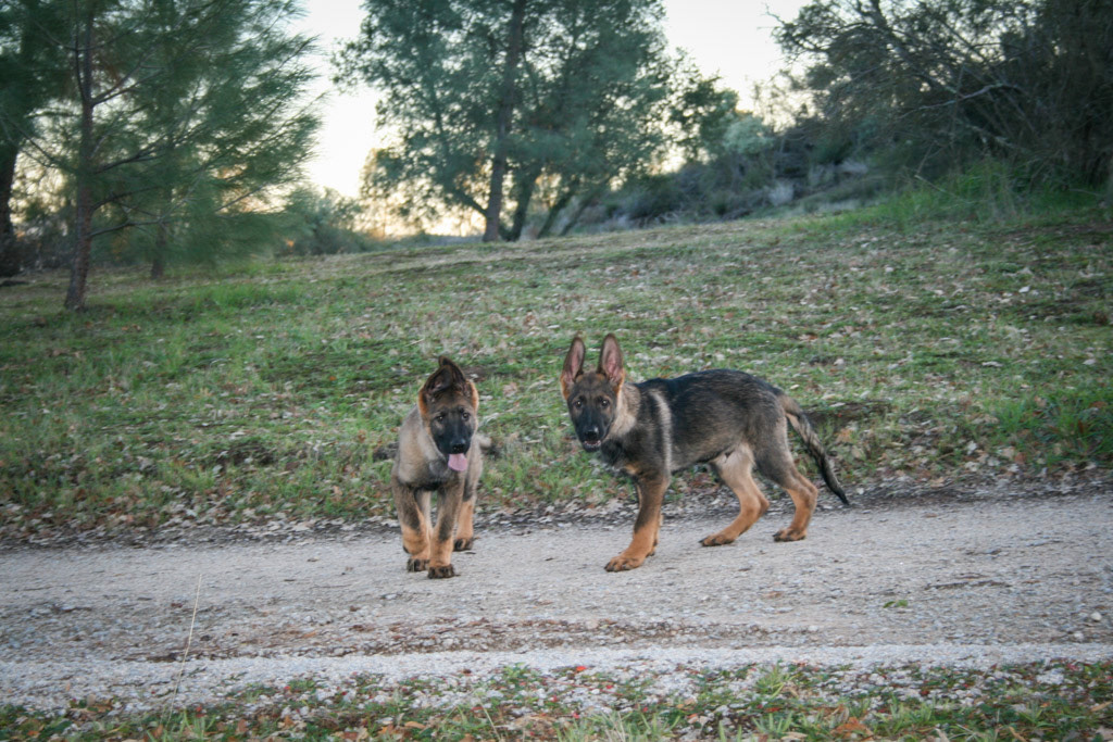 Biggie Smalls & Vinnie