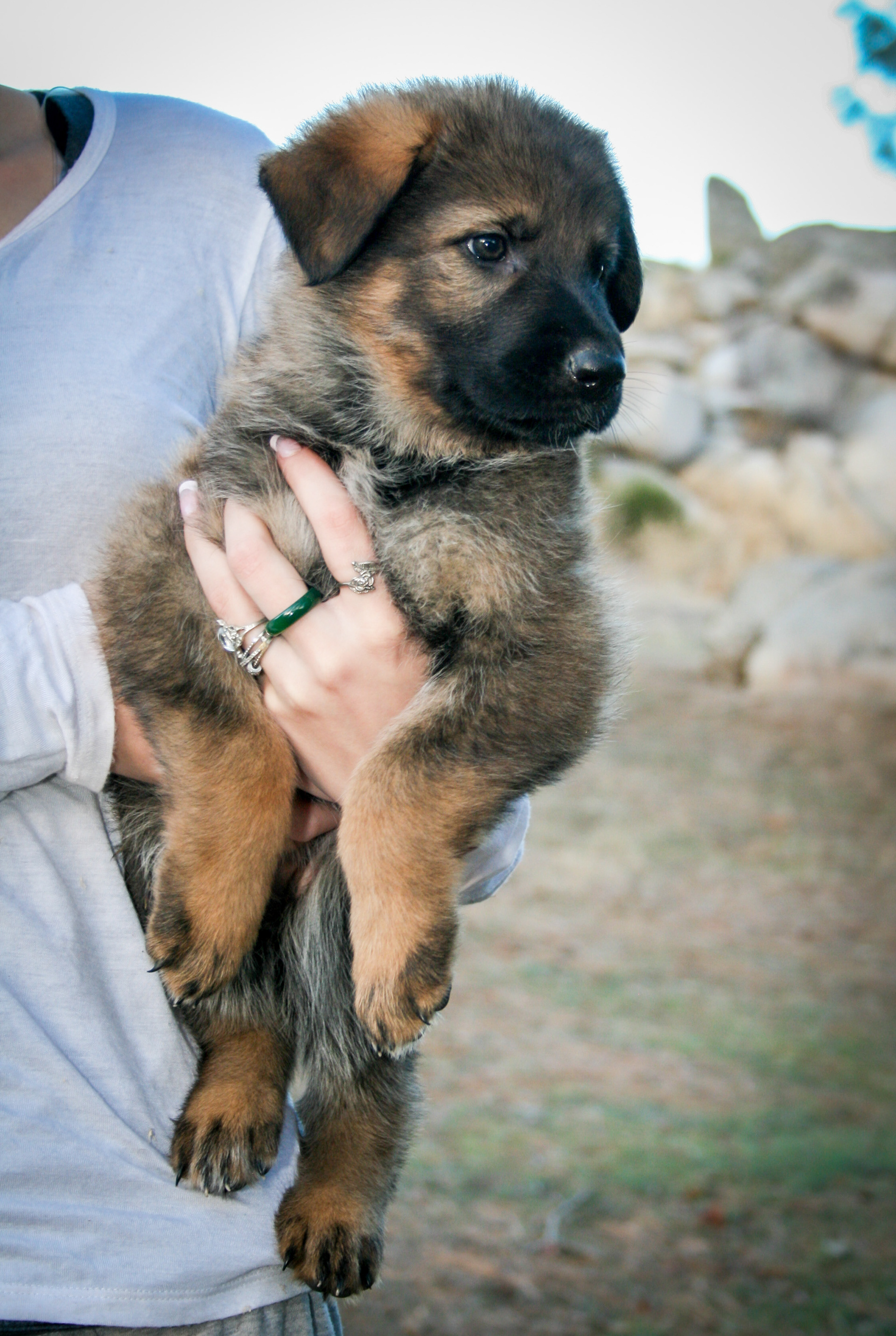 Journey - 7 weeks