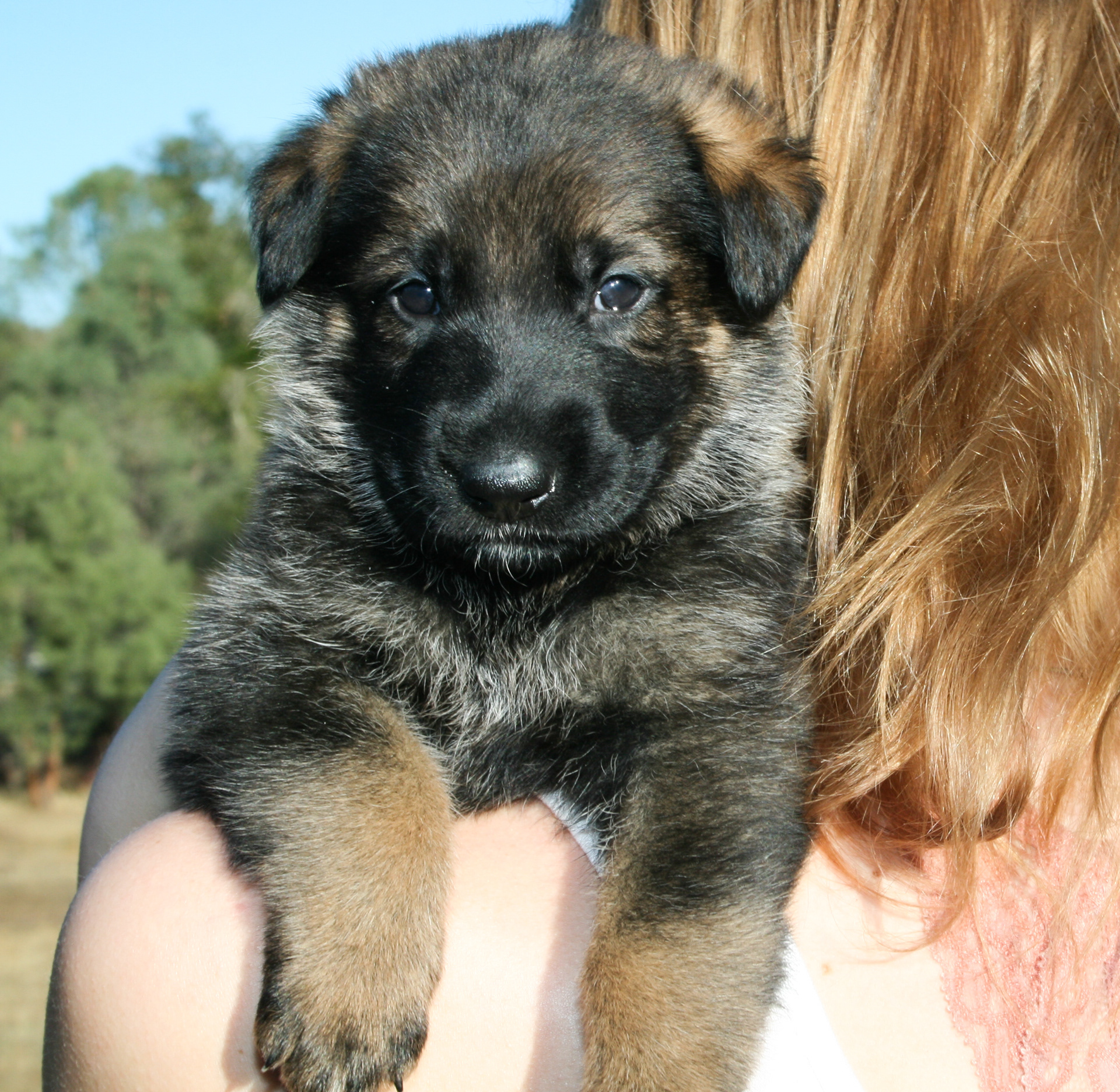 "Winnie" - 4 weeks
