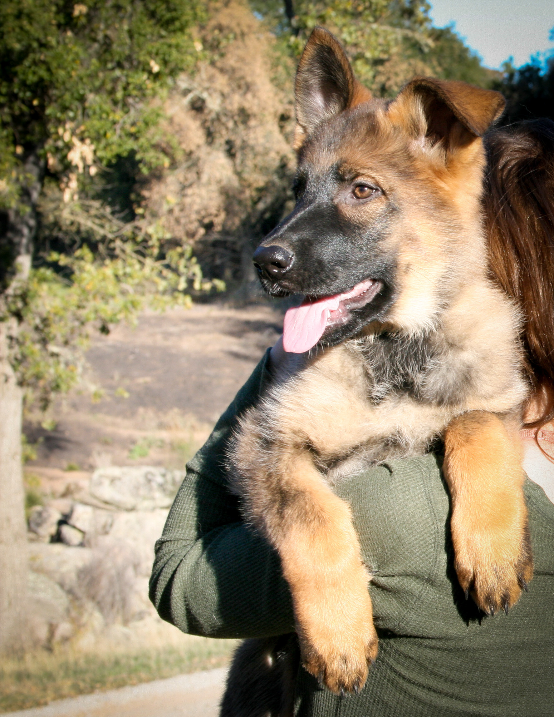 "Journey" - 12 weeks