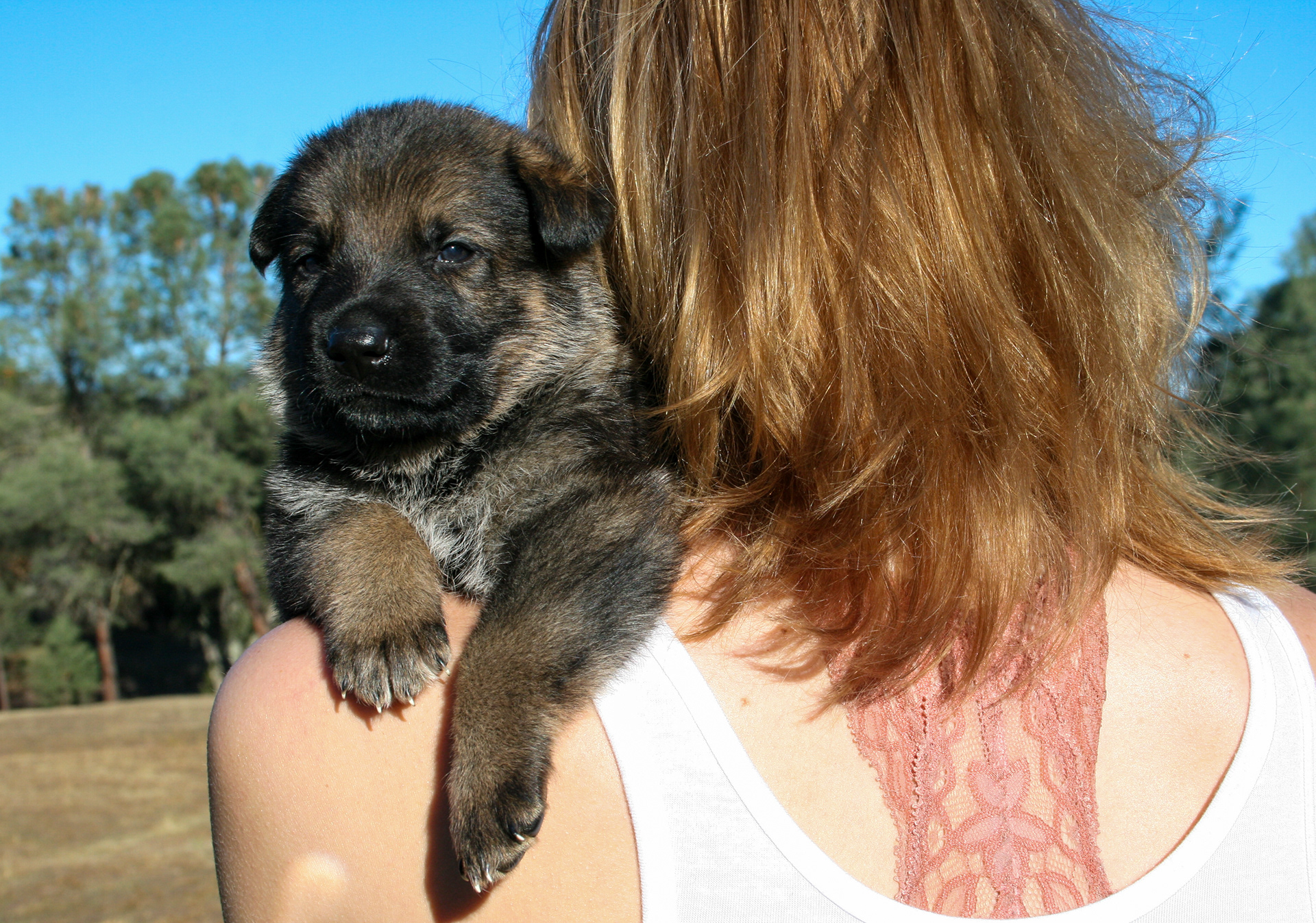 "Baby" - 4 weeks