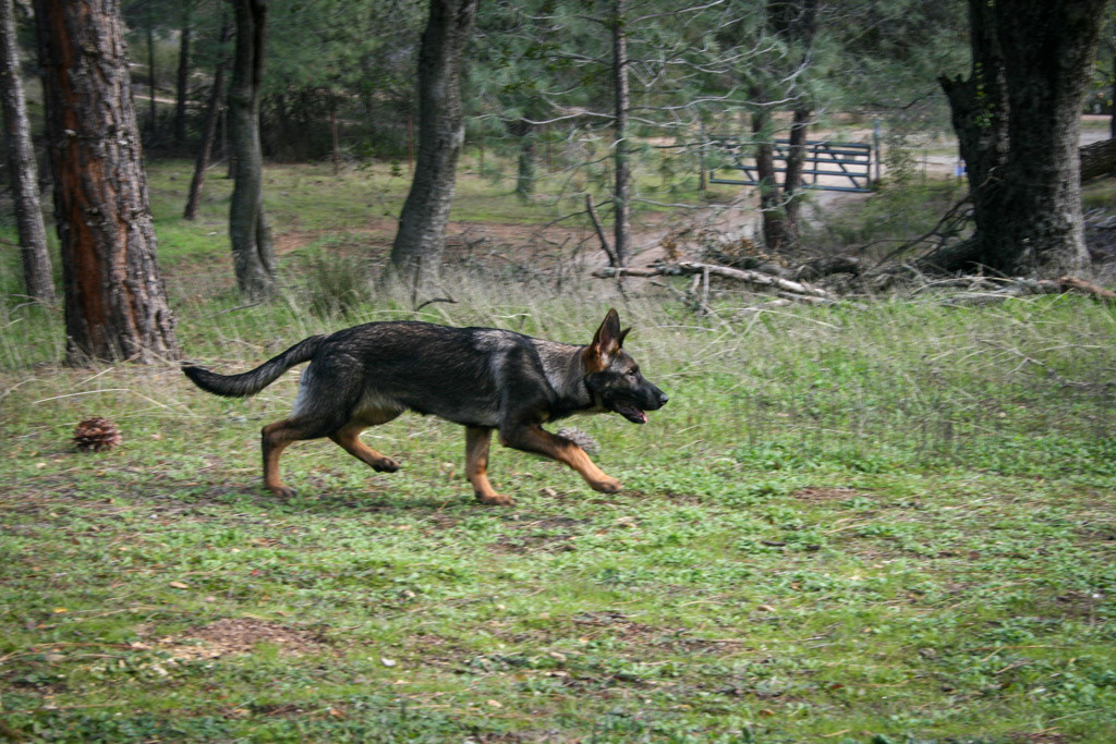 Winnie 4.5 months
