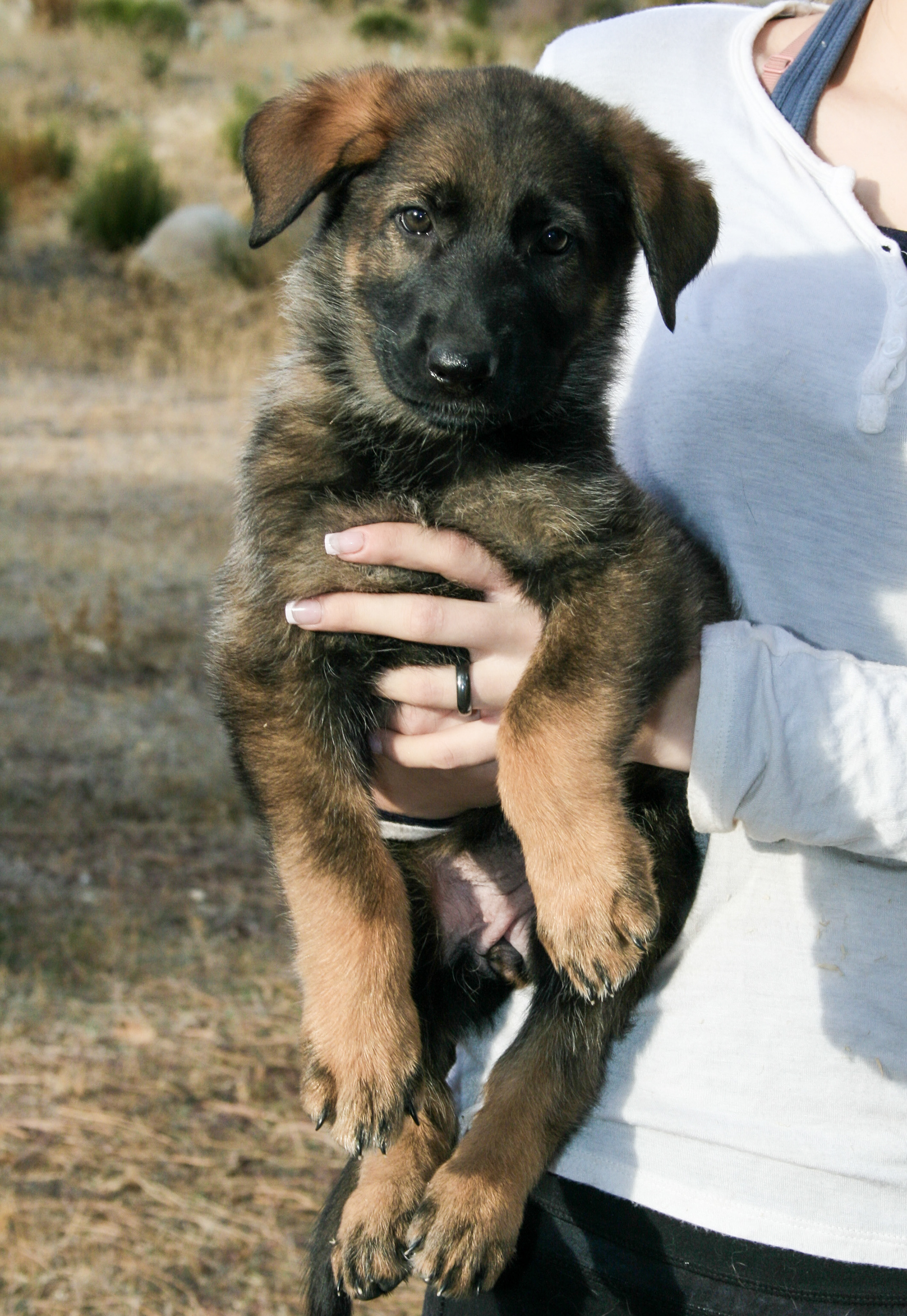 Winnie - 7 weeks