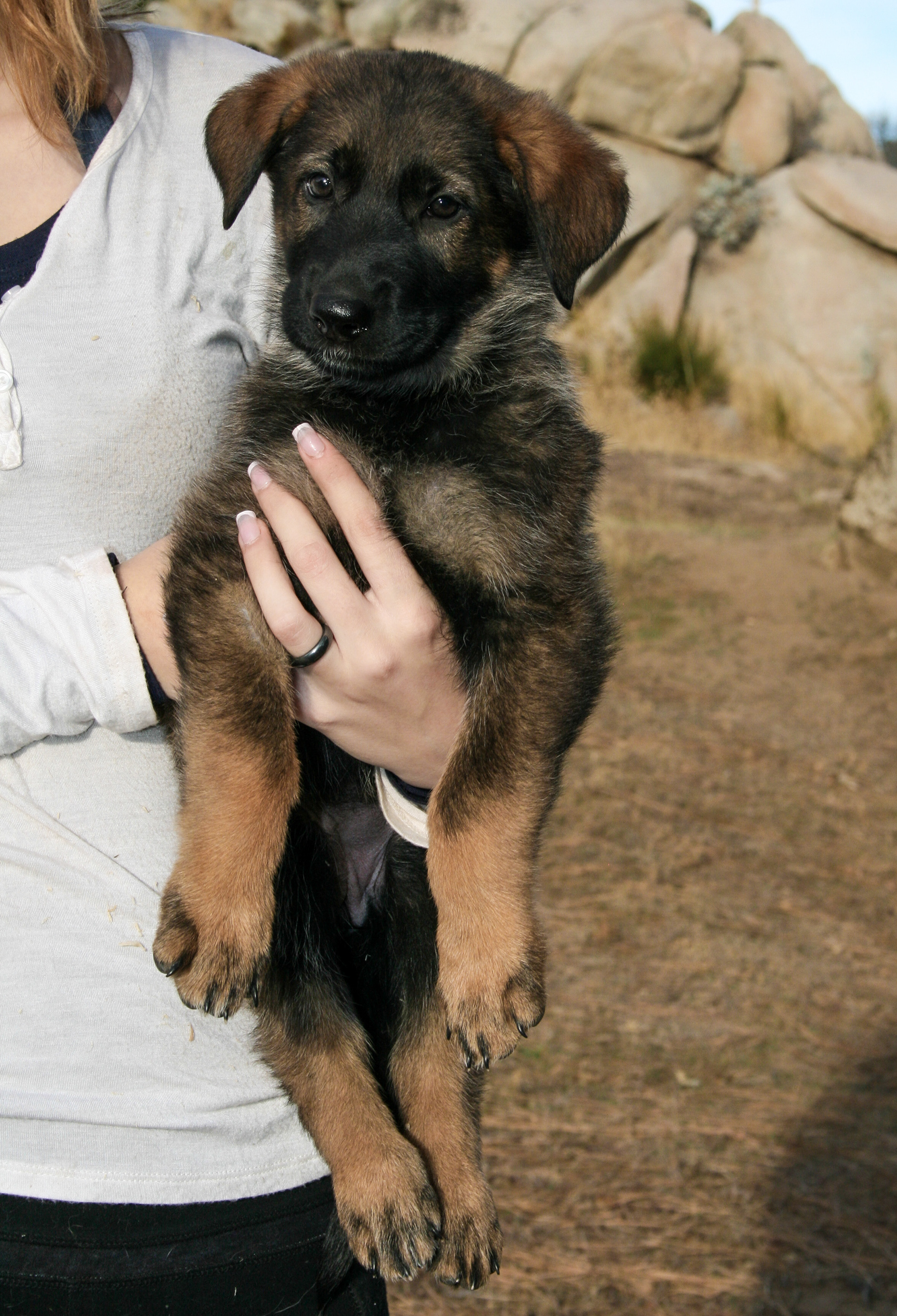 Winnie - 7 weeks