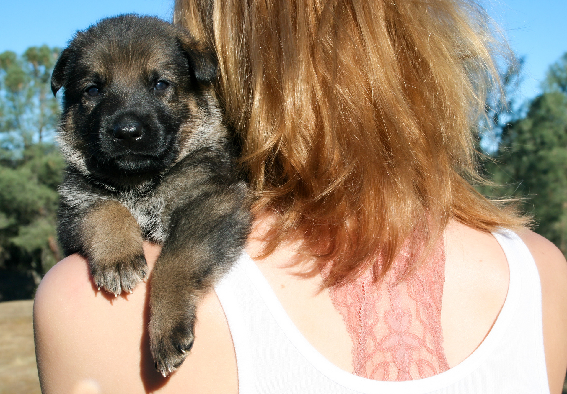 "Baby" - 4 weeks
