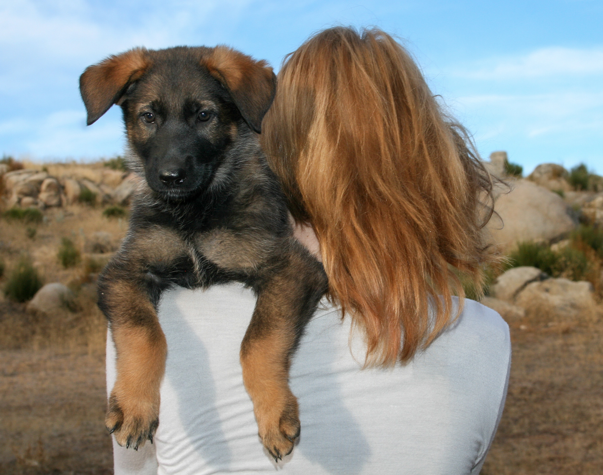 Winnie - 7 weeks