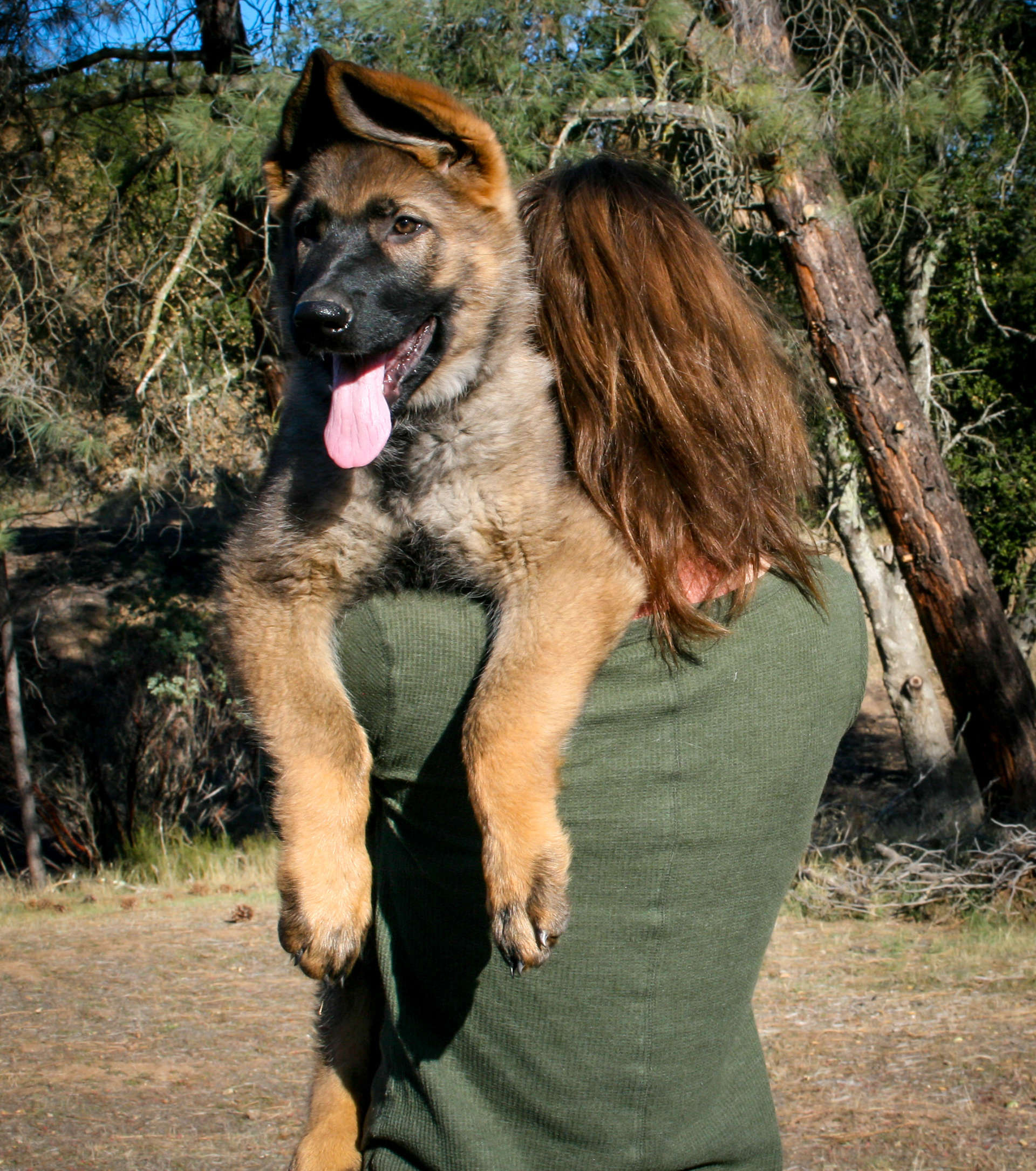 "Biggie Smalls" - 12 weeks
