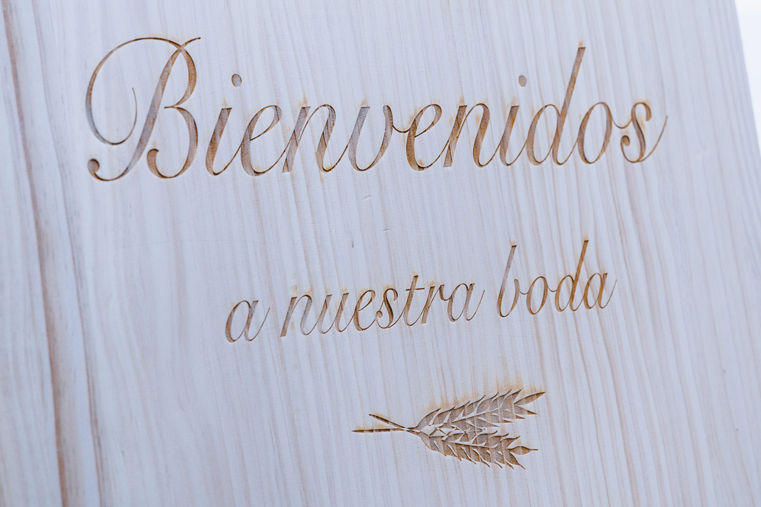 Boda en Tamarises Izarra