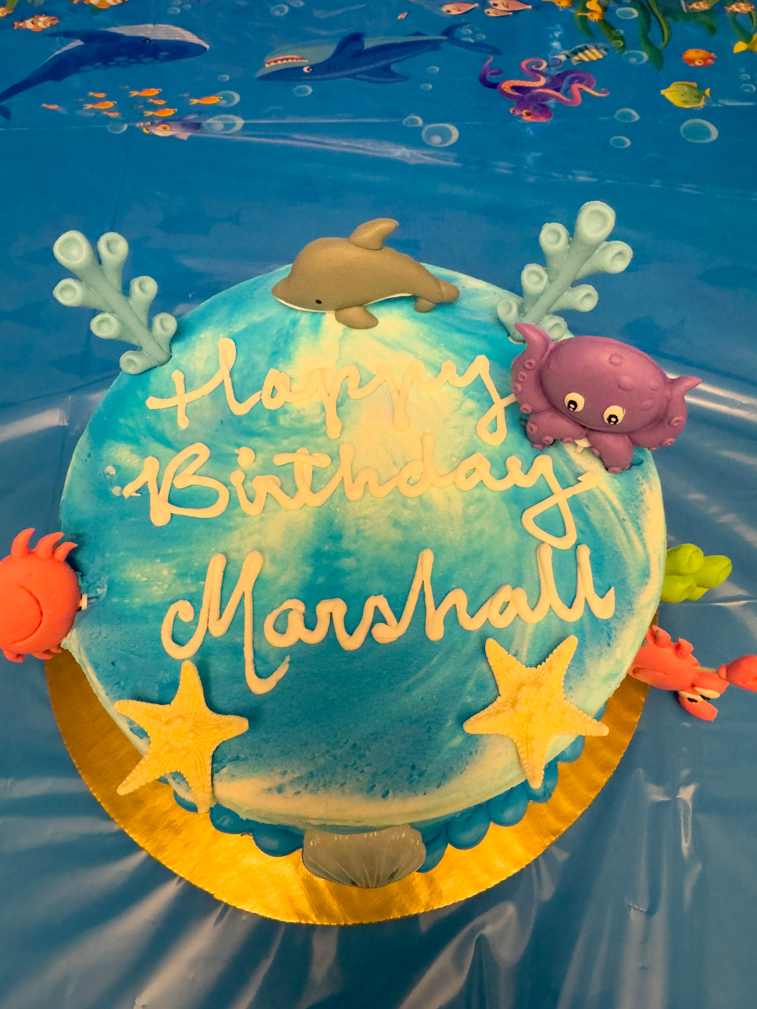 Marshall's Birthday Party