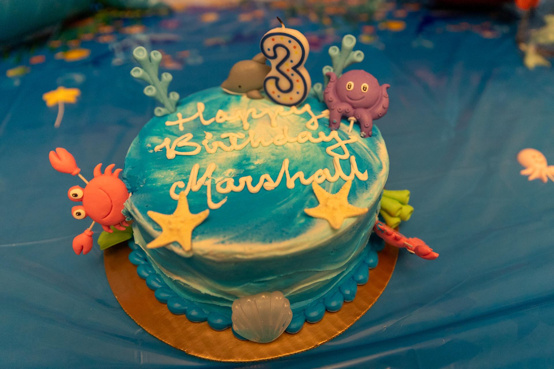 Marshall's Birthday Party