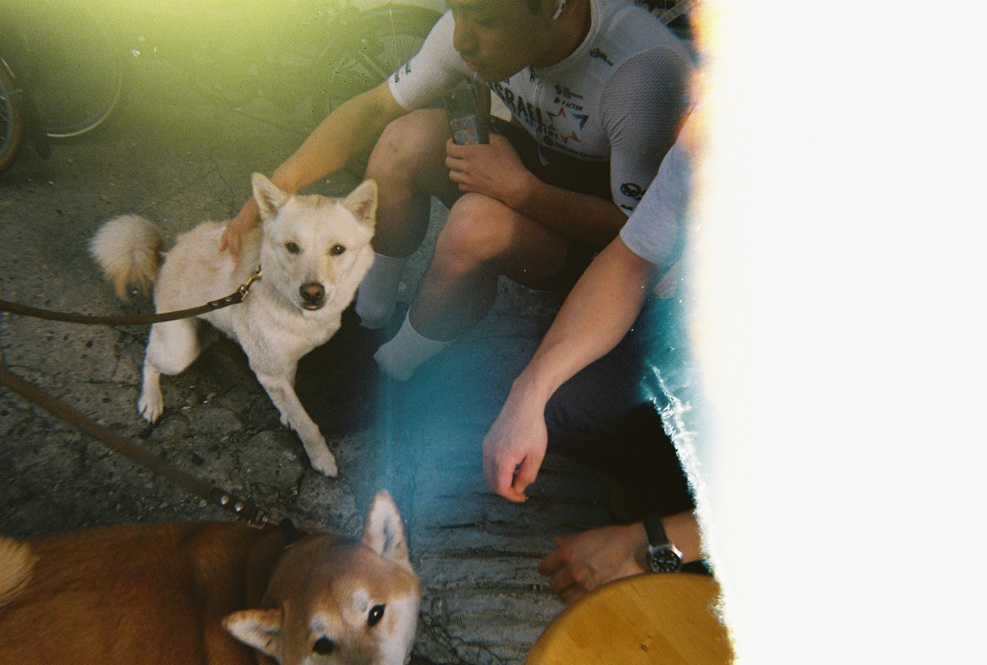 내가 찍지 않은 너의 사진 (성수동)