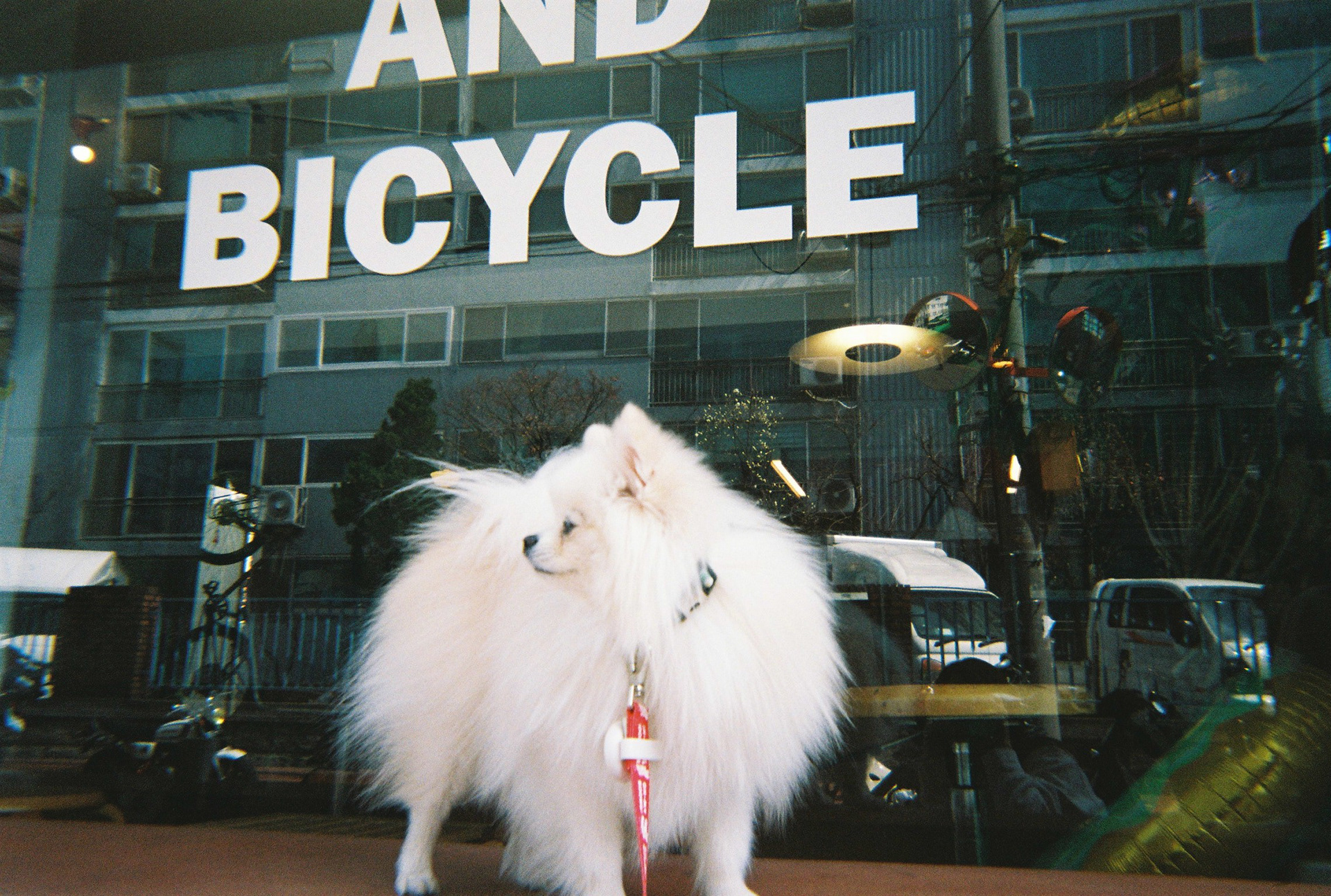 내가 찍지 않은 너의 사진 (성수동)