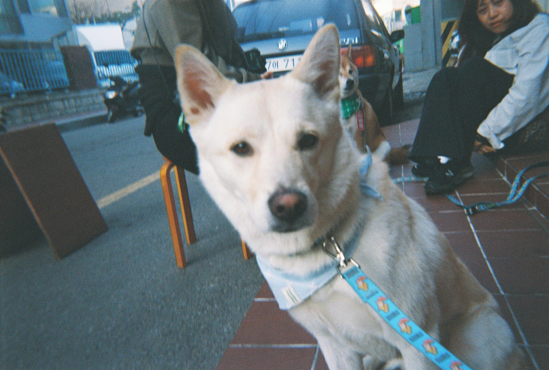 내가 찍지 않은 너의 사진 (성수동)