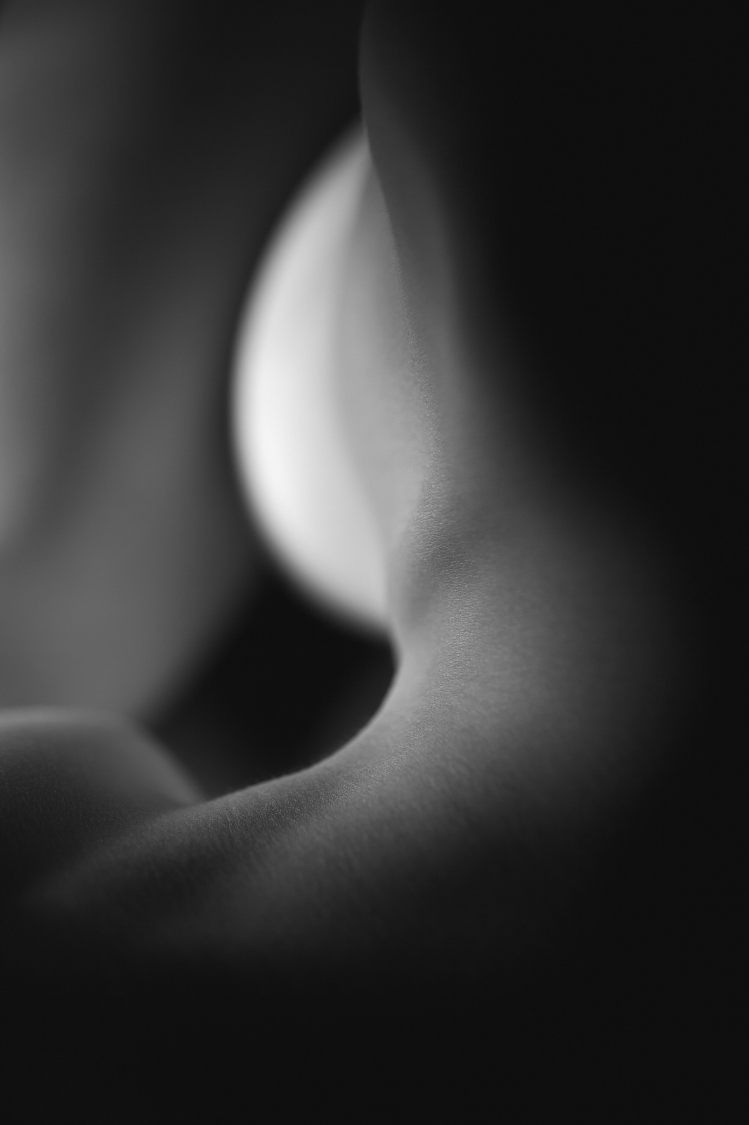Ambigue