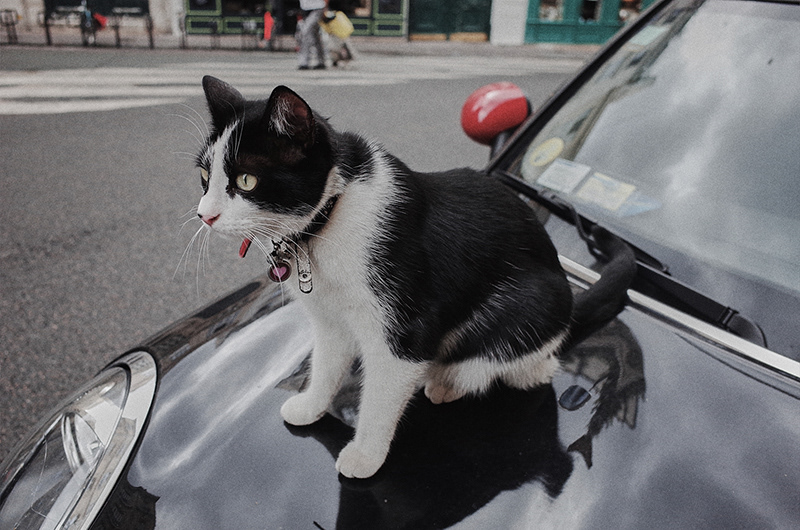 Paris