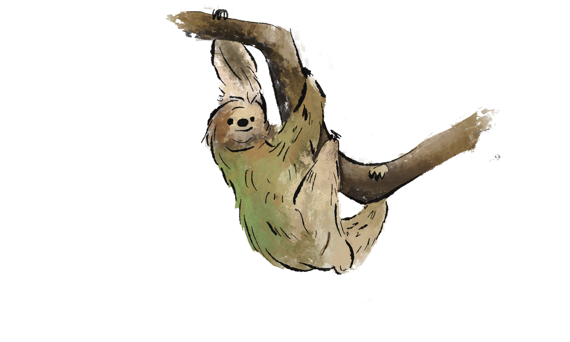 Sloth