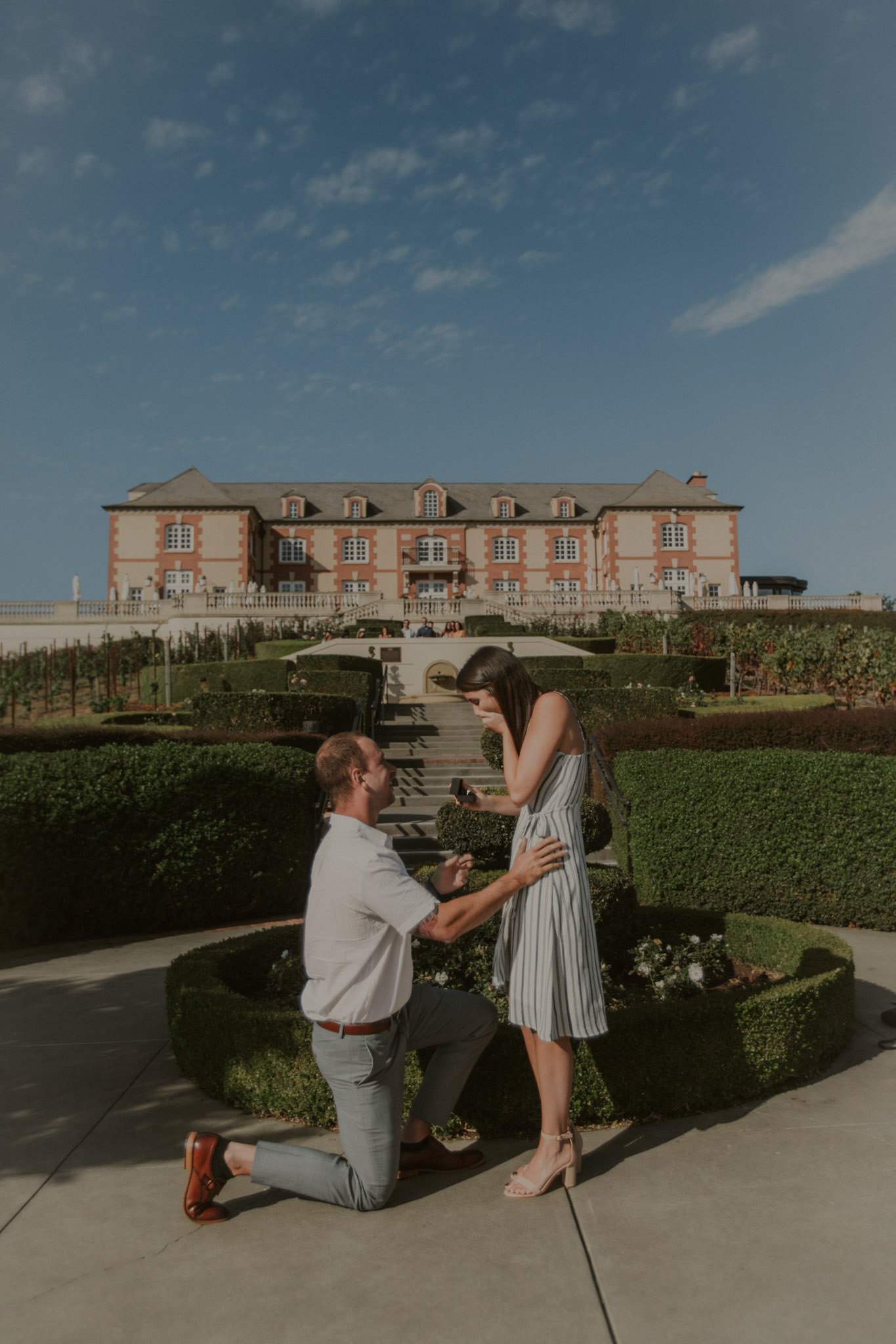 domaine carneros surprise proposal napa ca