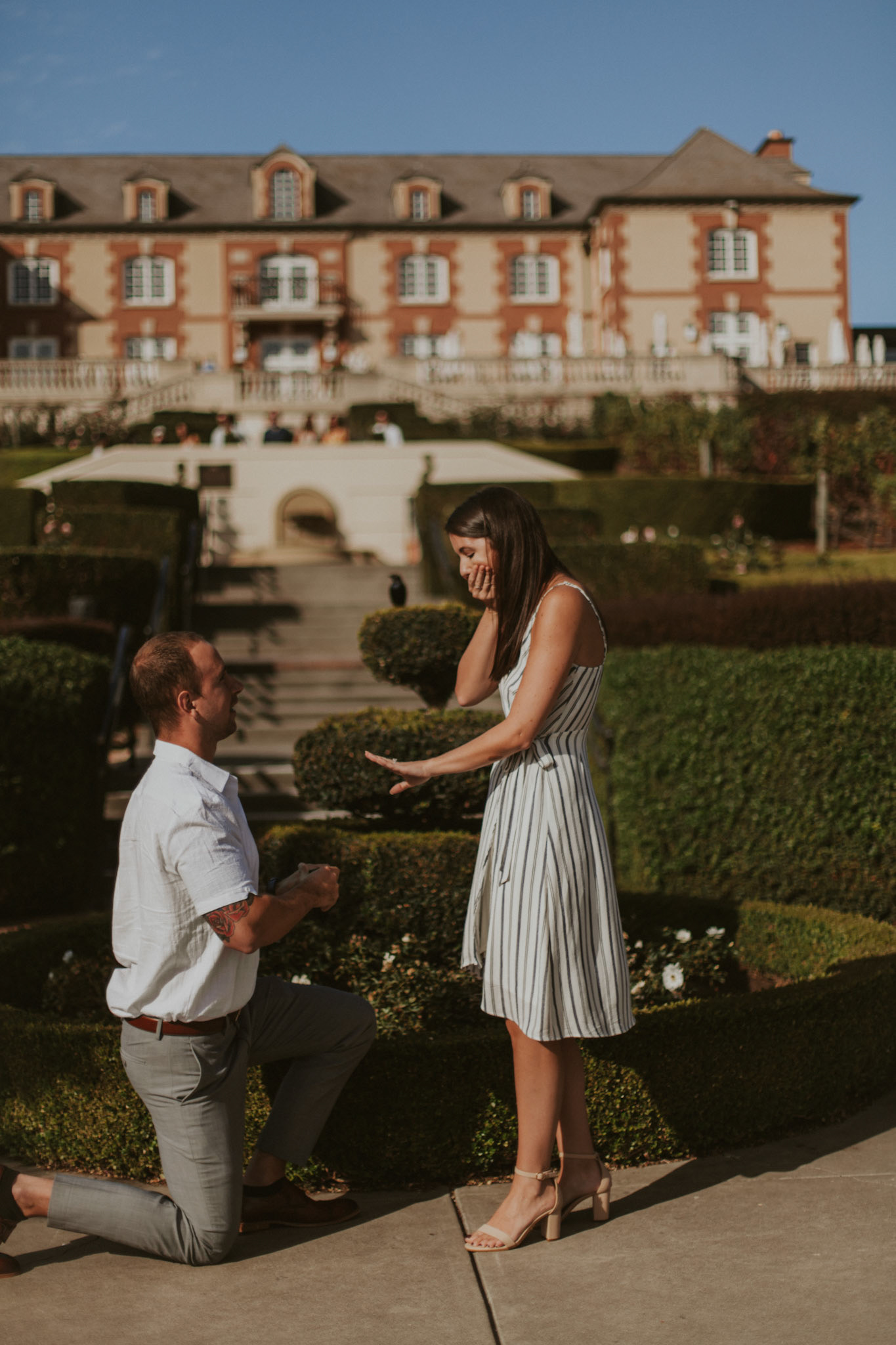 domaine carneros surprise proposal napa ca