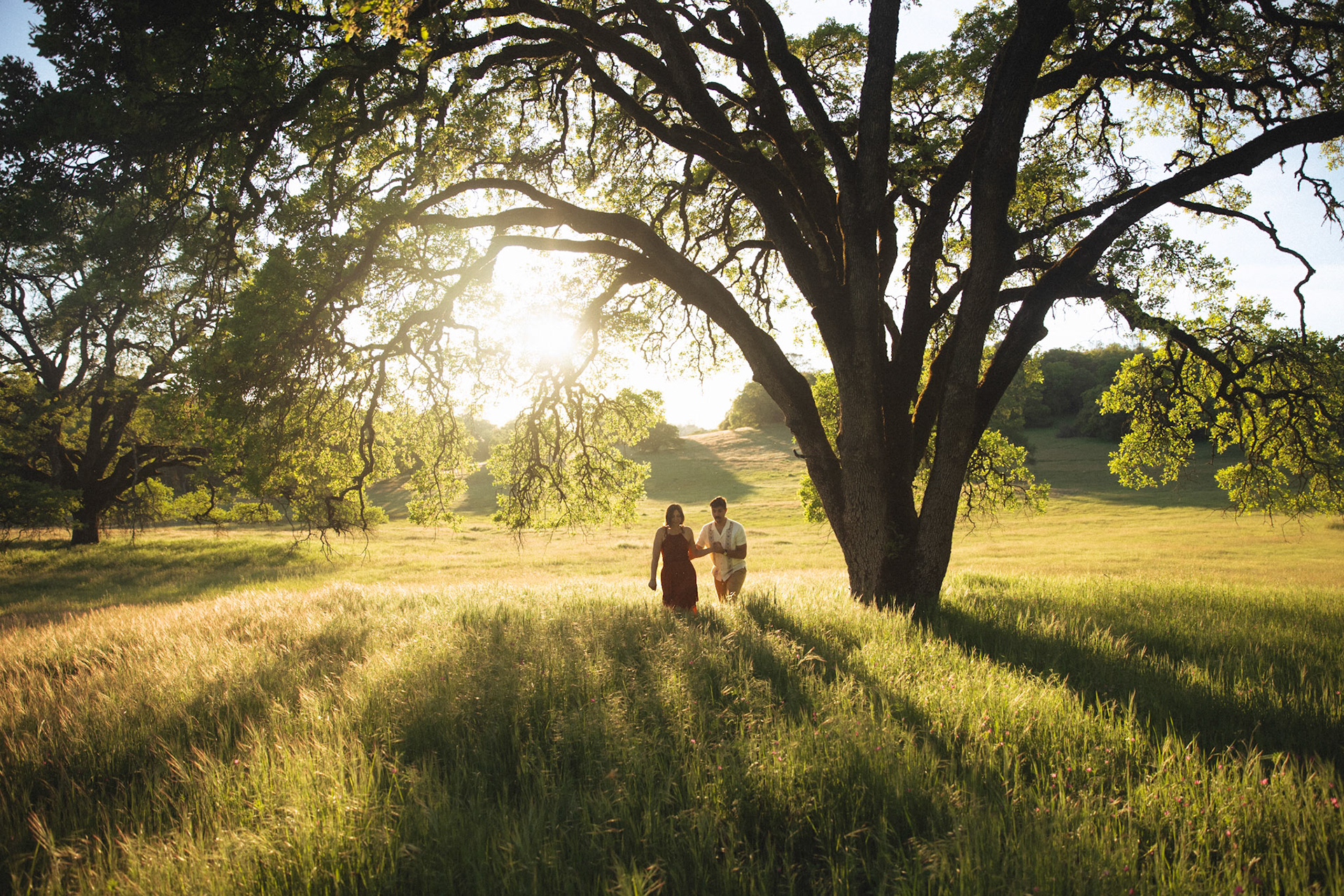 wedding photography folsom ca