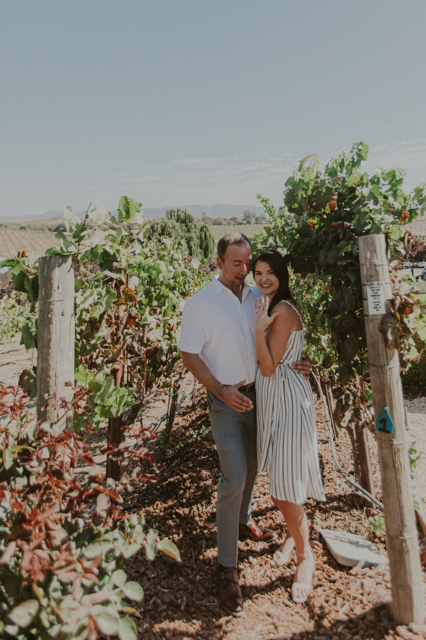 domaine carneros surprise proposal napa ca