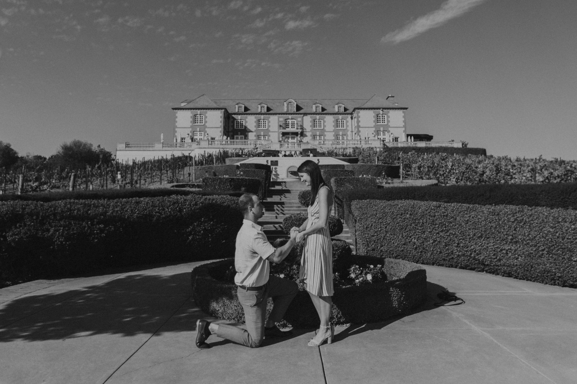 domaine carneros surprise proposal napa ca