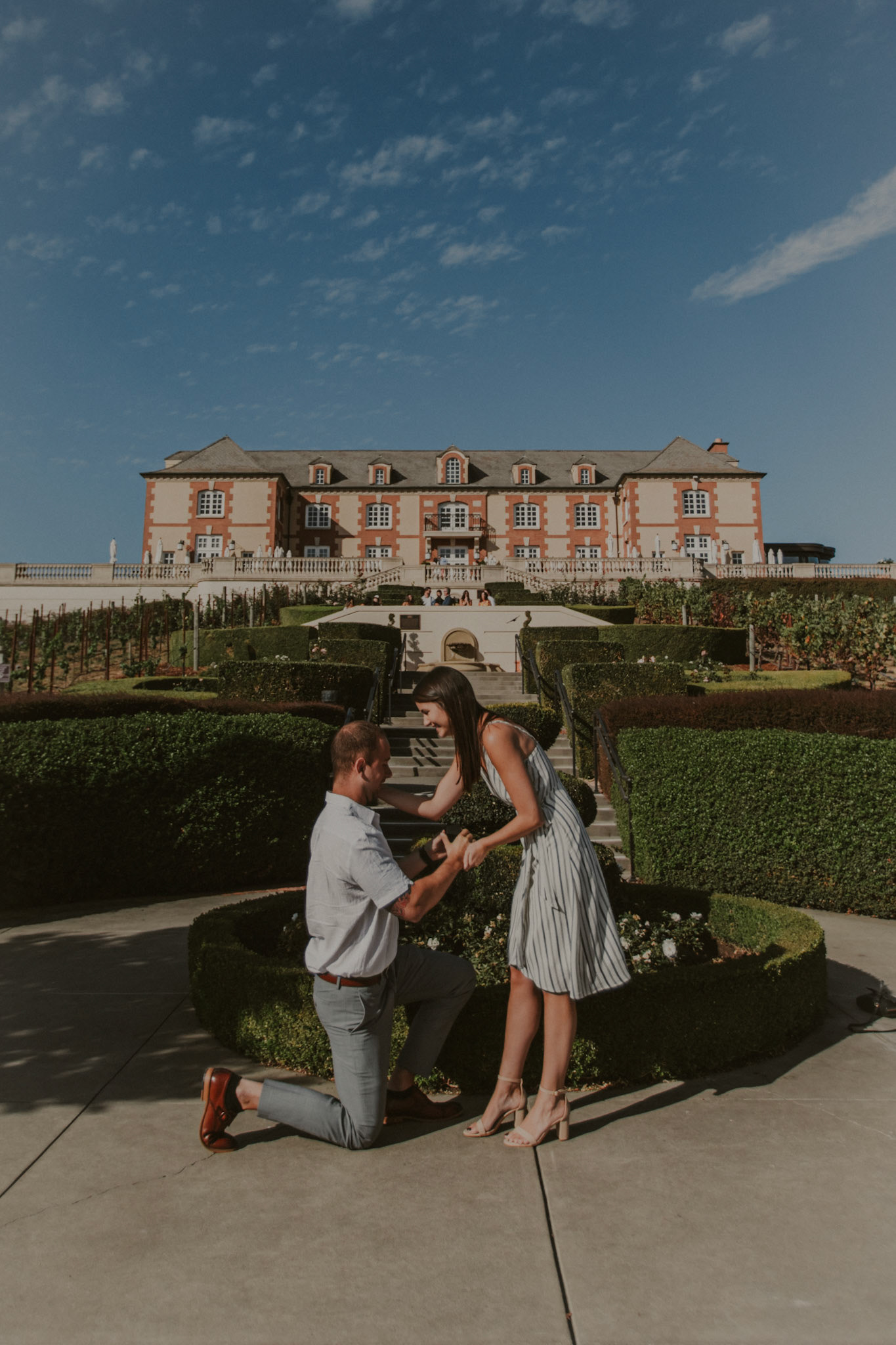 domaine carneros surprise proposal napa ca