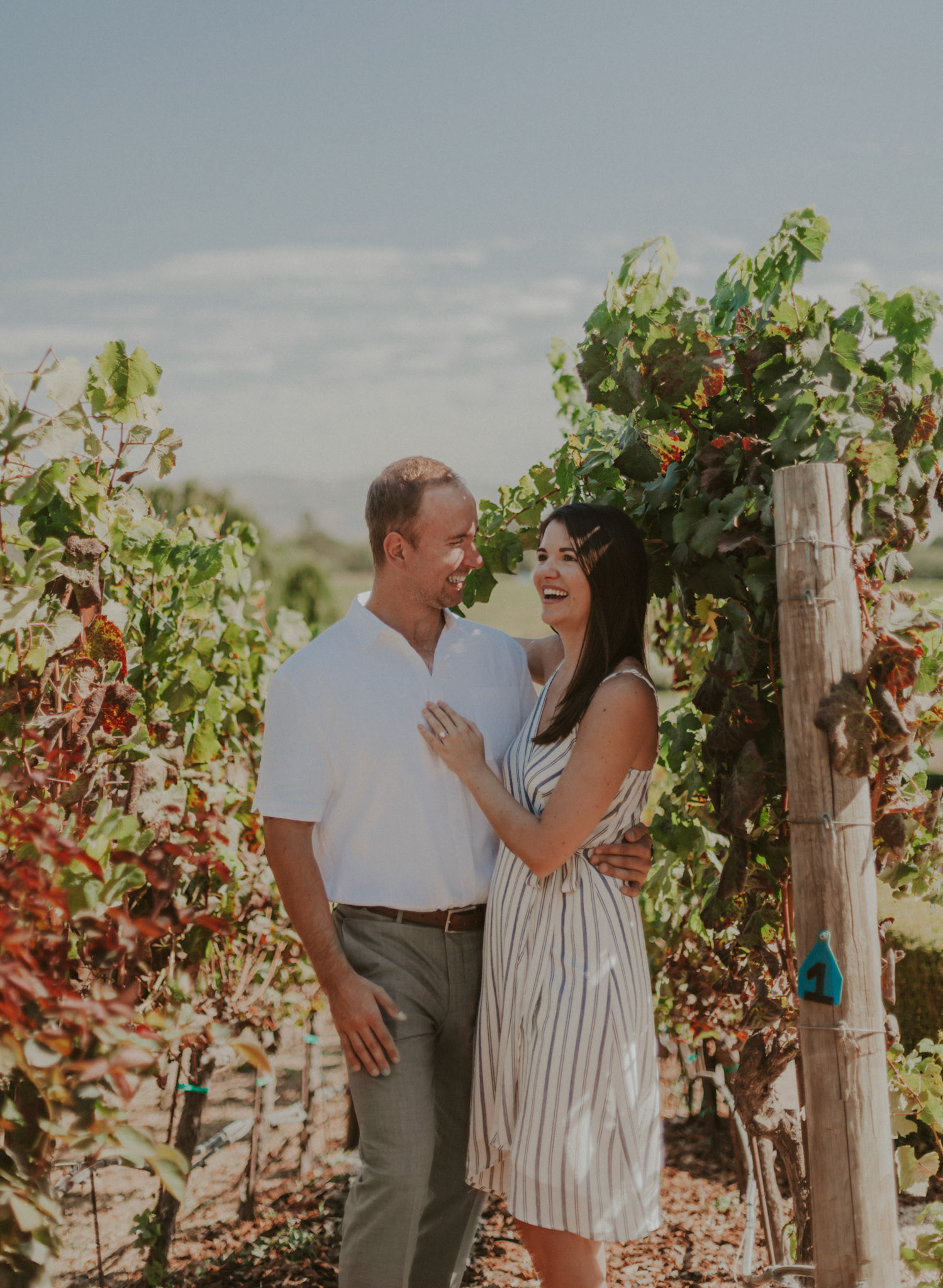 domaine carneros surprise proposal napa ca