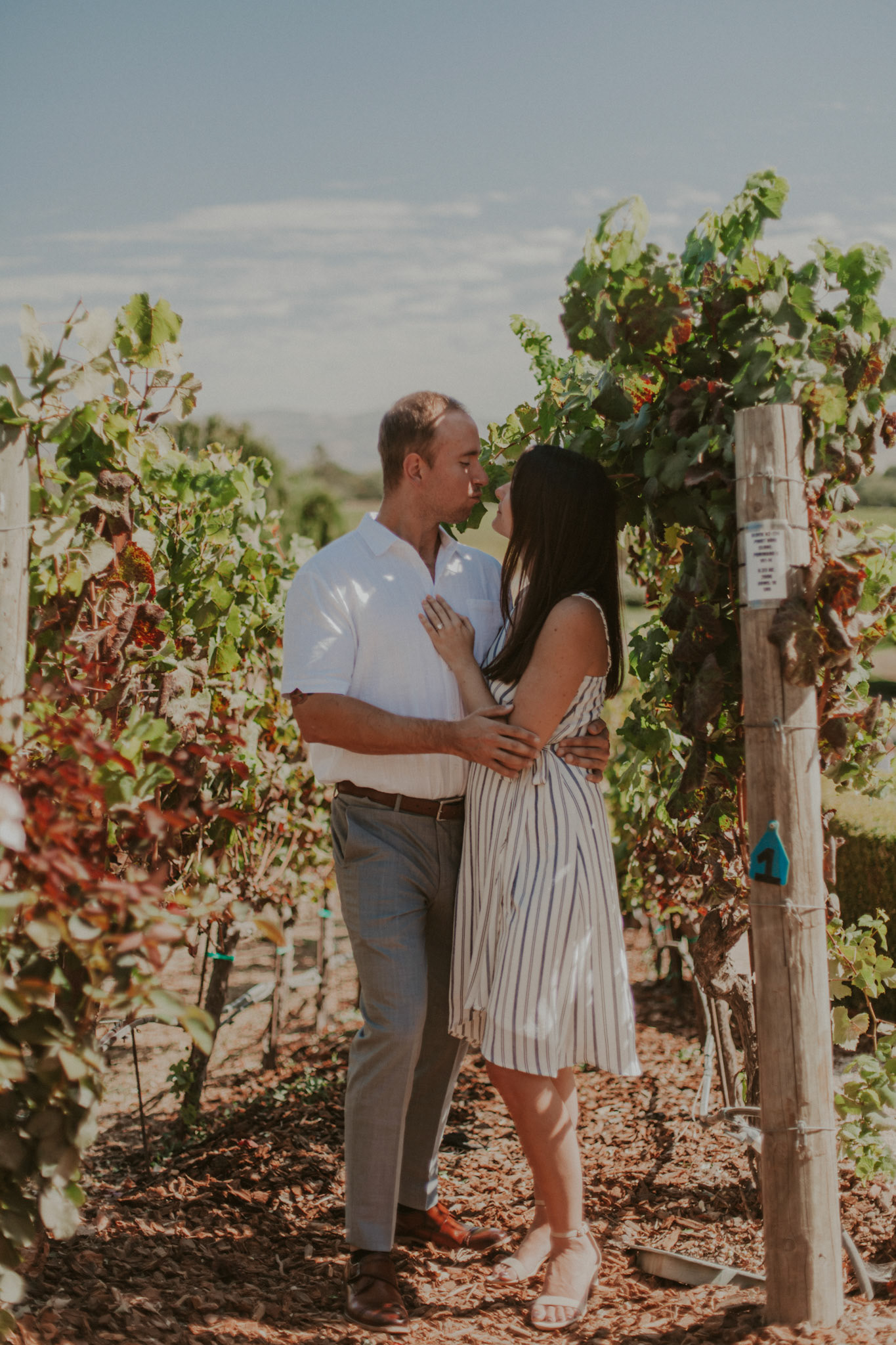 domaine carneros surprise proposal napa ca