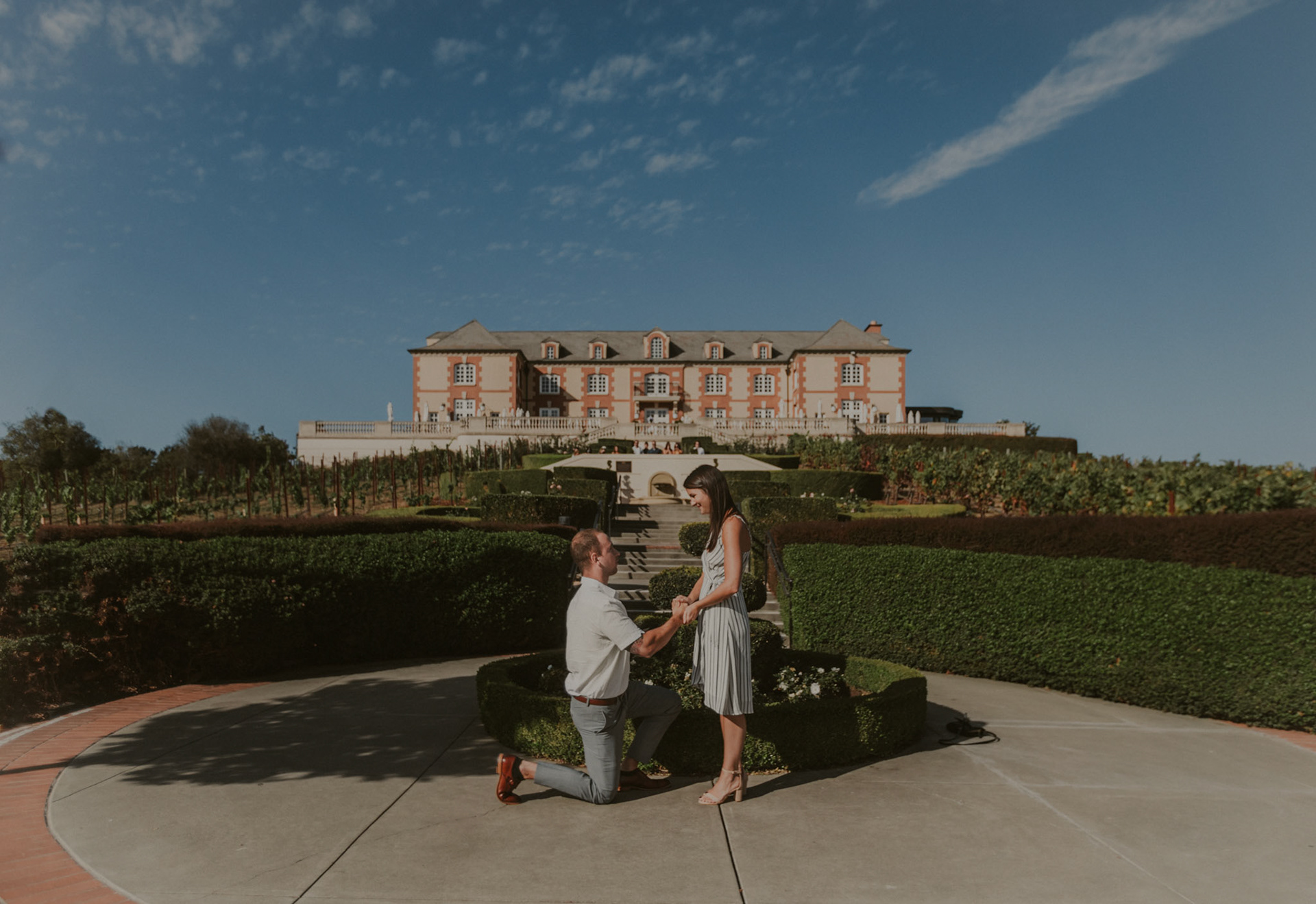 domaine carneros surprise proposal napa ca