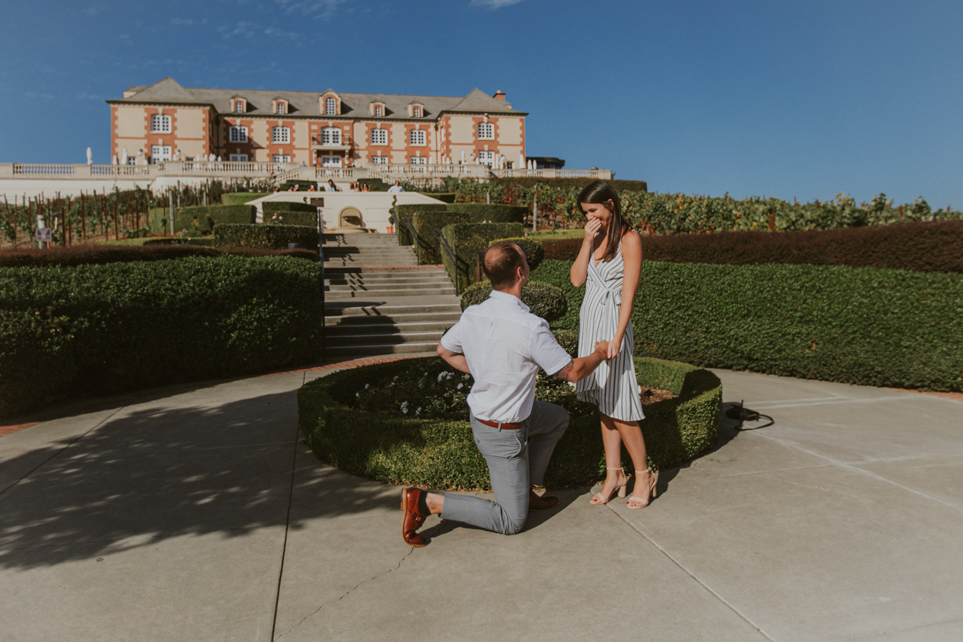 domaine carneros surprise proposal napa ca