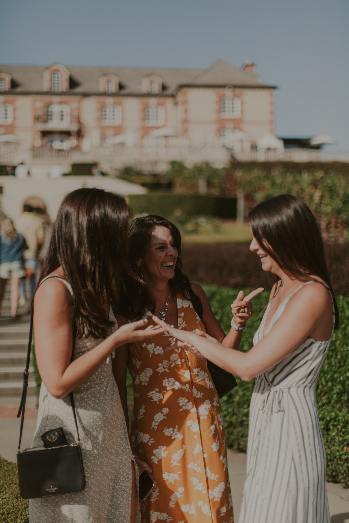 domaine carneros surprise proposal napa ca