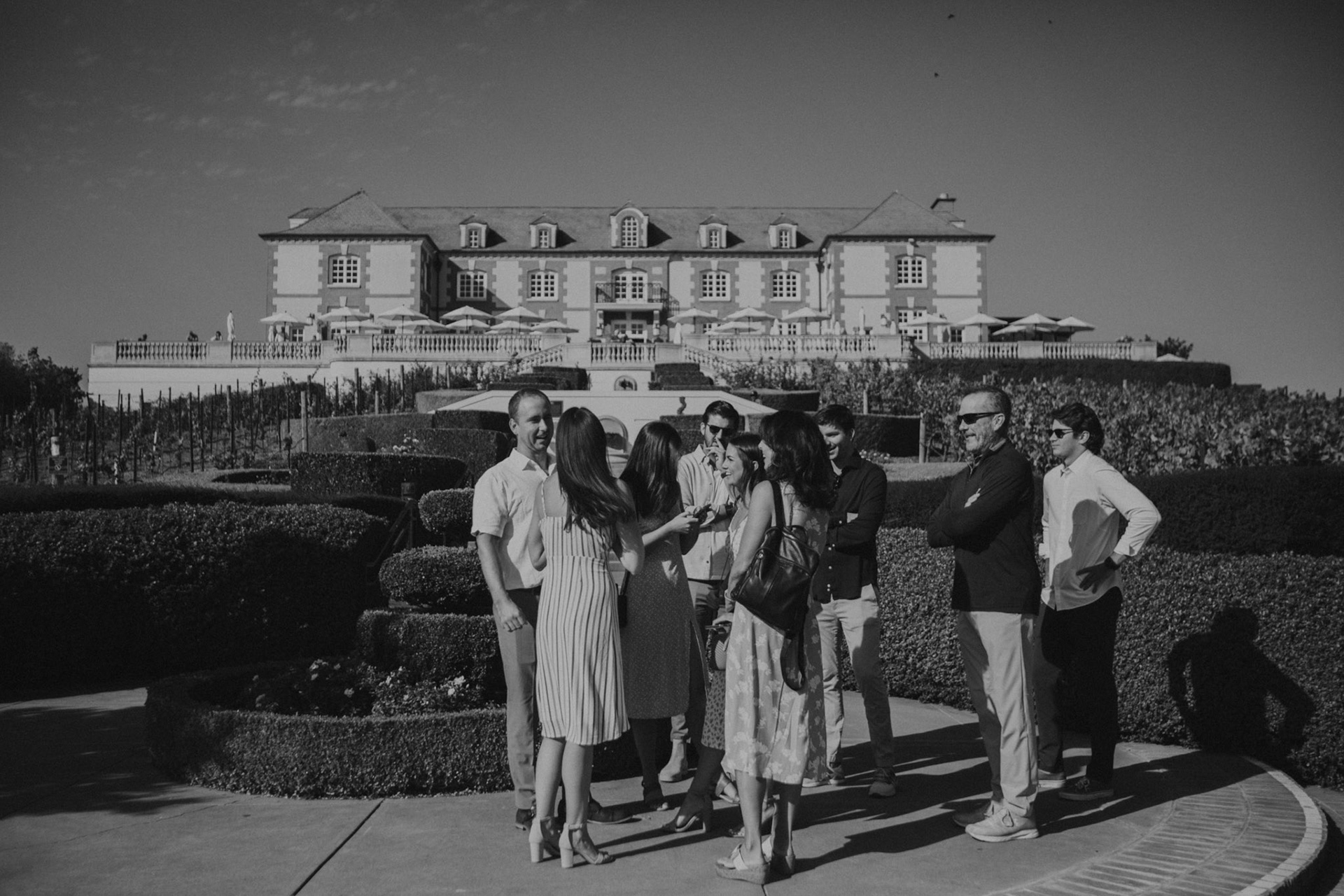 domaine carneros surprise proposal napa ca