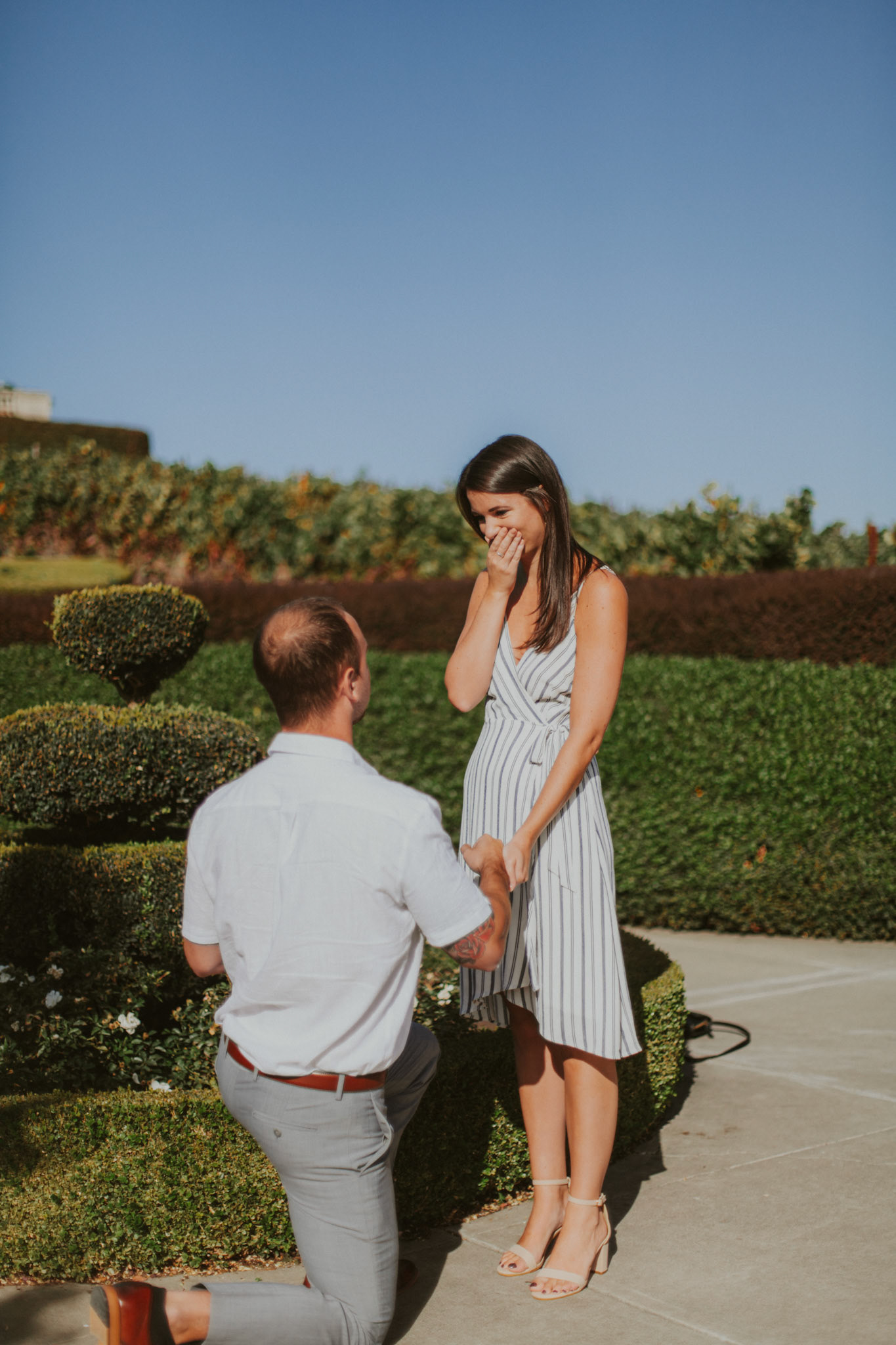 domaine carneros surprise proposal napa ca