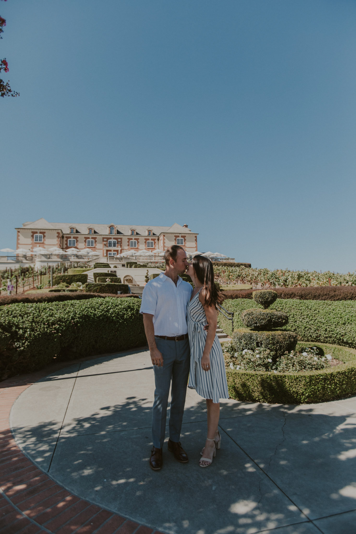 domaine carneros surprise proposal napa ca