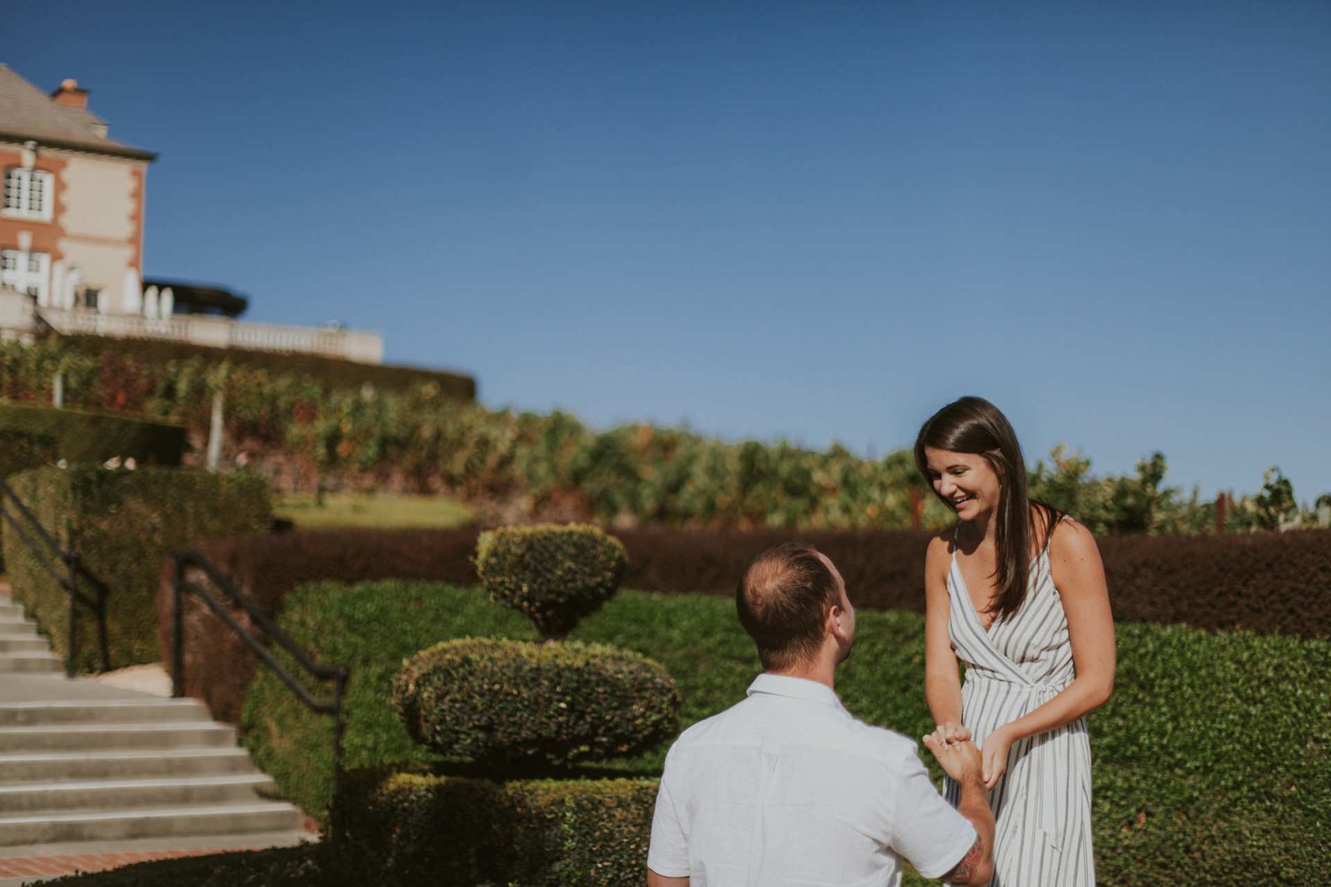 domaine carneros surprise proposal napa ca